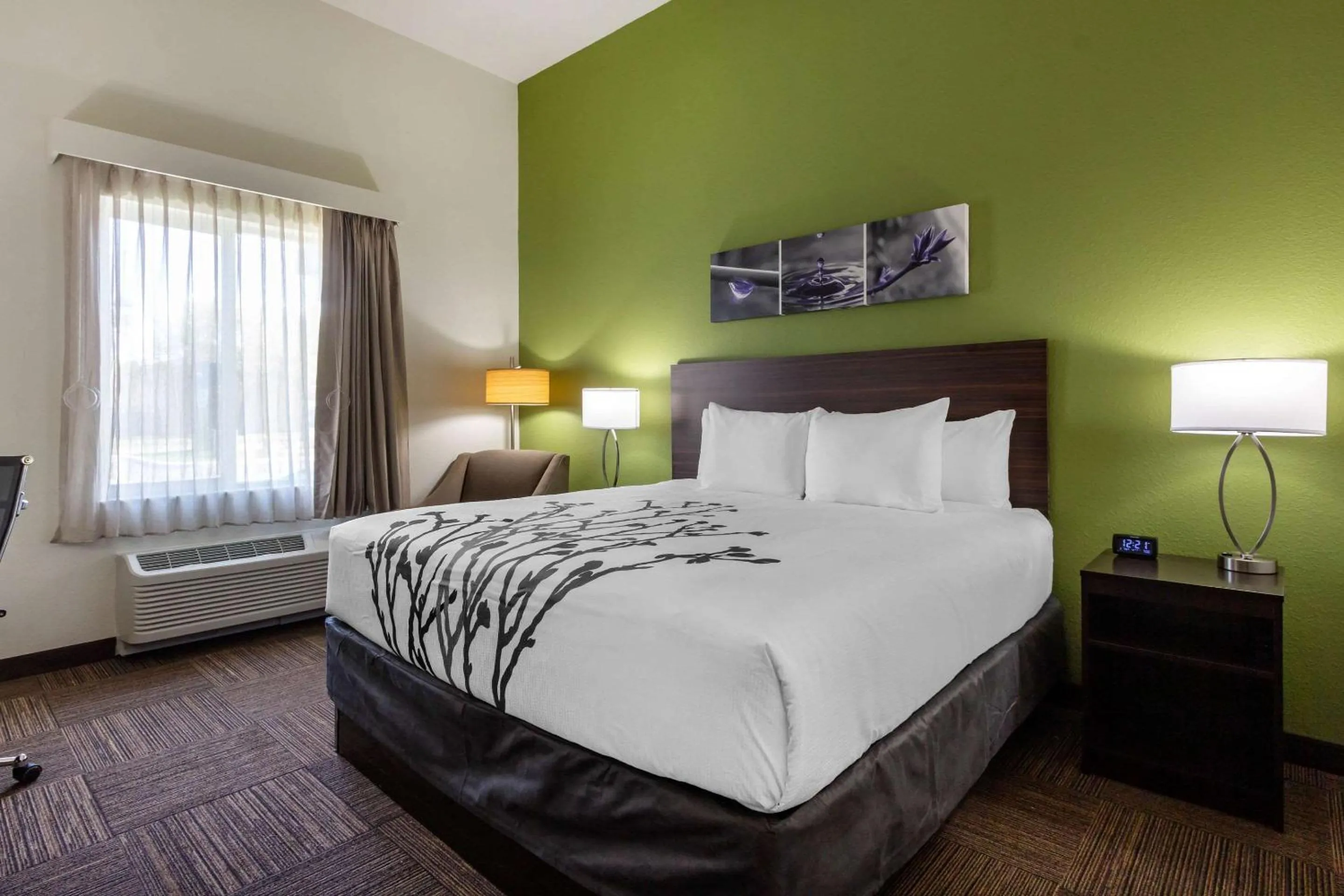 Photo of the whole room, Bed in Sleep Inn & Suites Tampa South