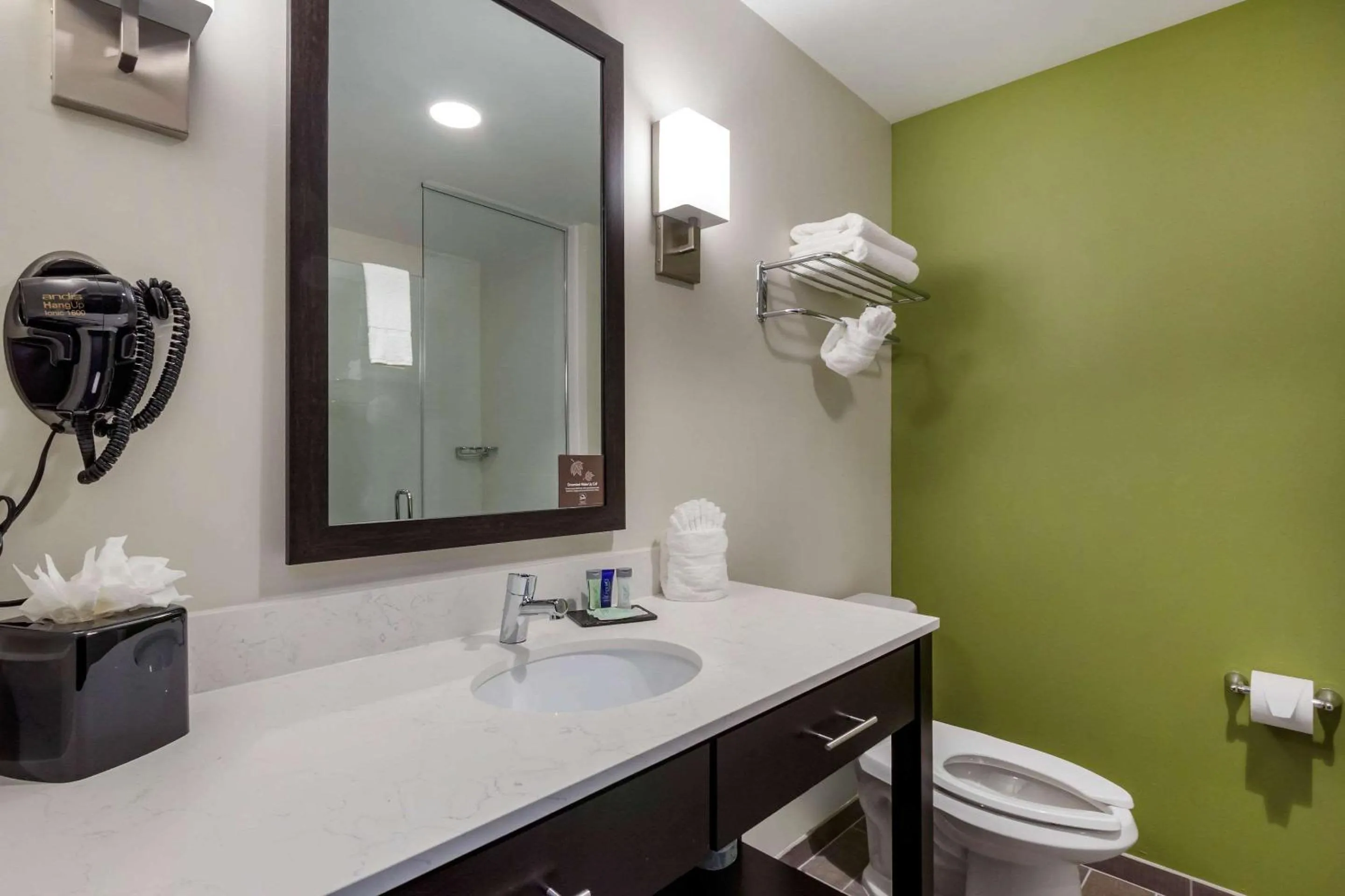 Bathroom in Sleep Inn & Suites Tampa South