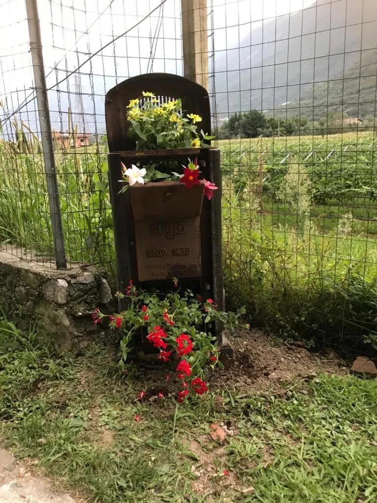 B&B La Rosa dei Venti