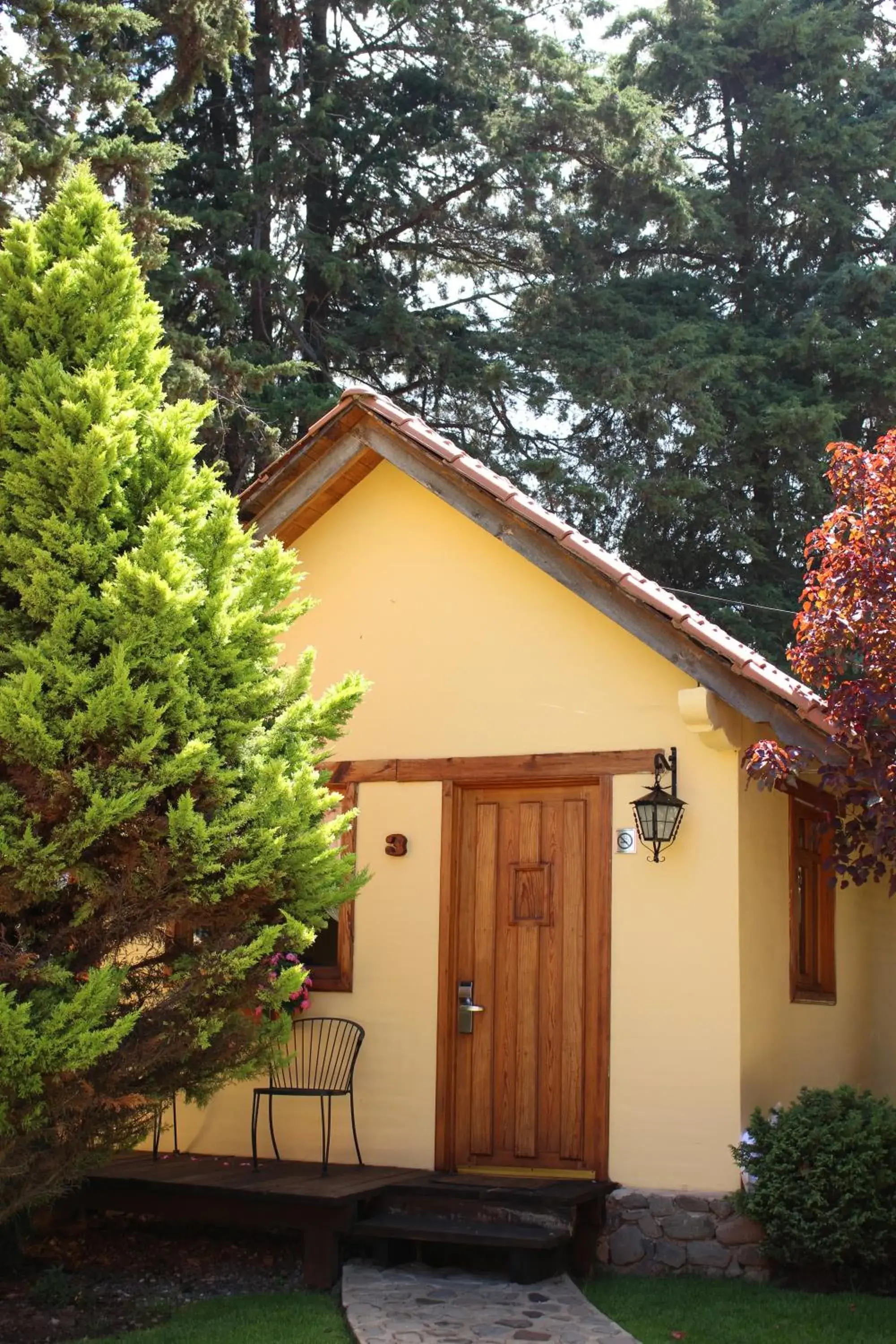 Quadruple Room - single occupancy in Cabañas Sierra Mazamitla Quadruple Room - single occupancy in Cabañas Sierra Mazamitla