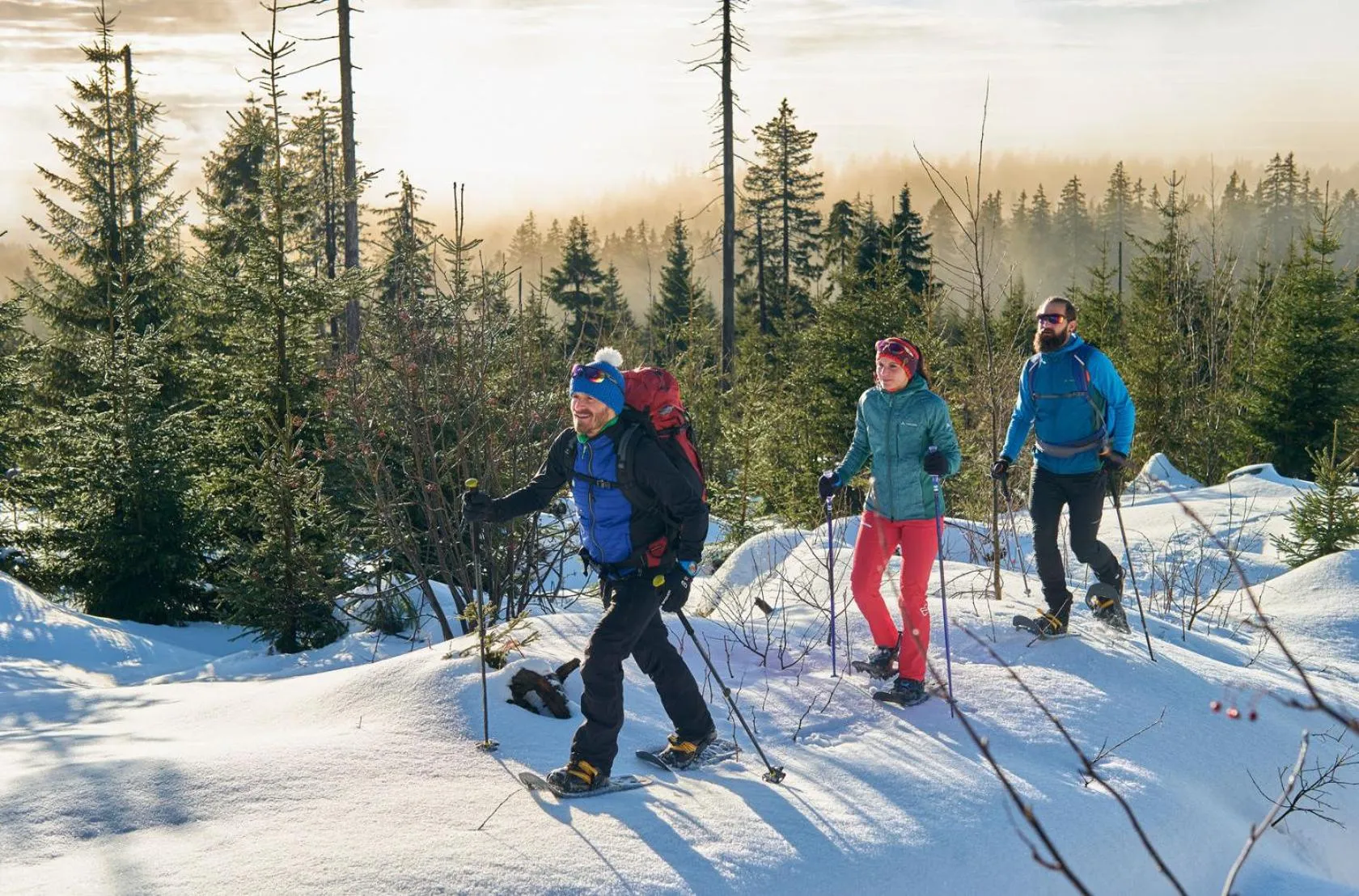 Skiing in Natura Hotel Bodenmais - inkl Soft- und Heißgetränkeflat