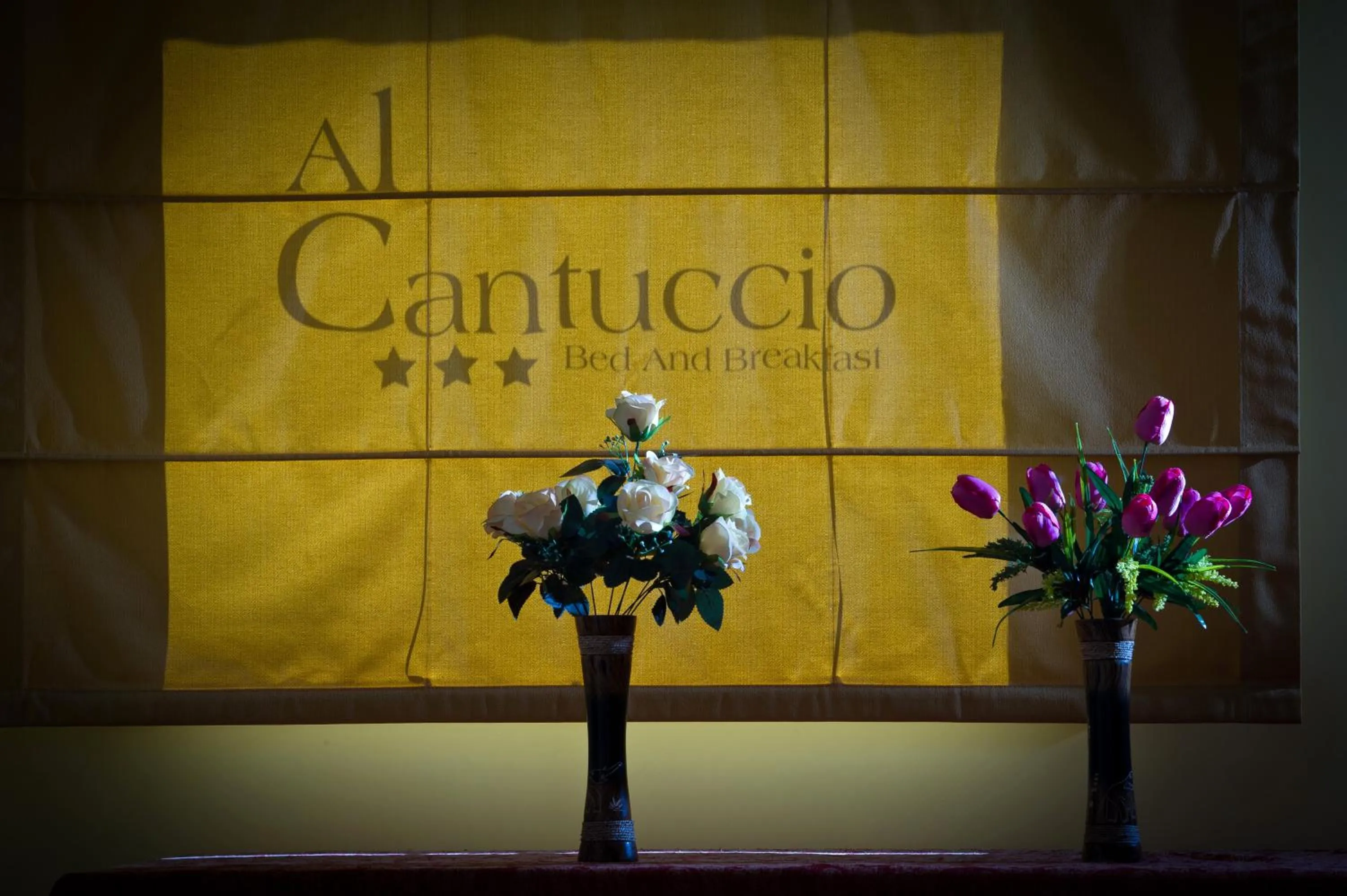 Logo/Certificate/Sign in Al Cantuccio