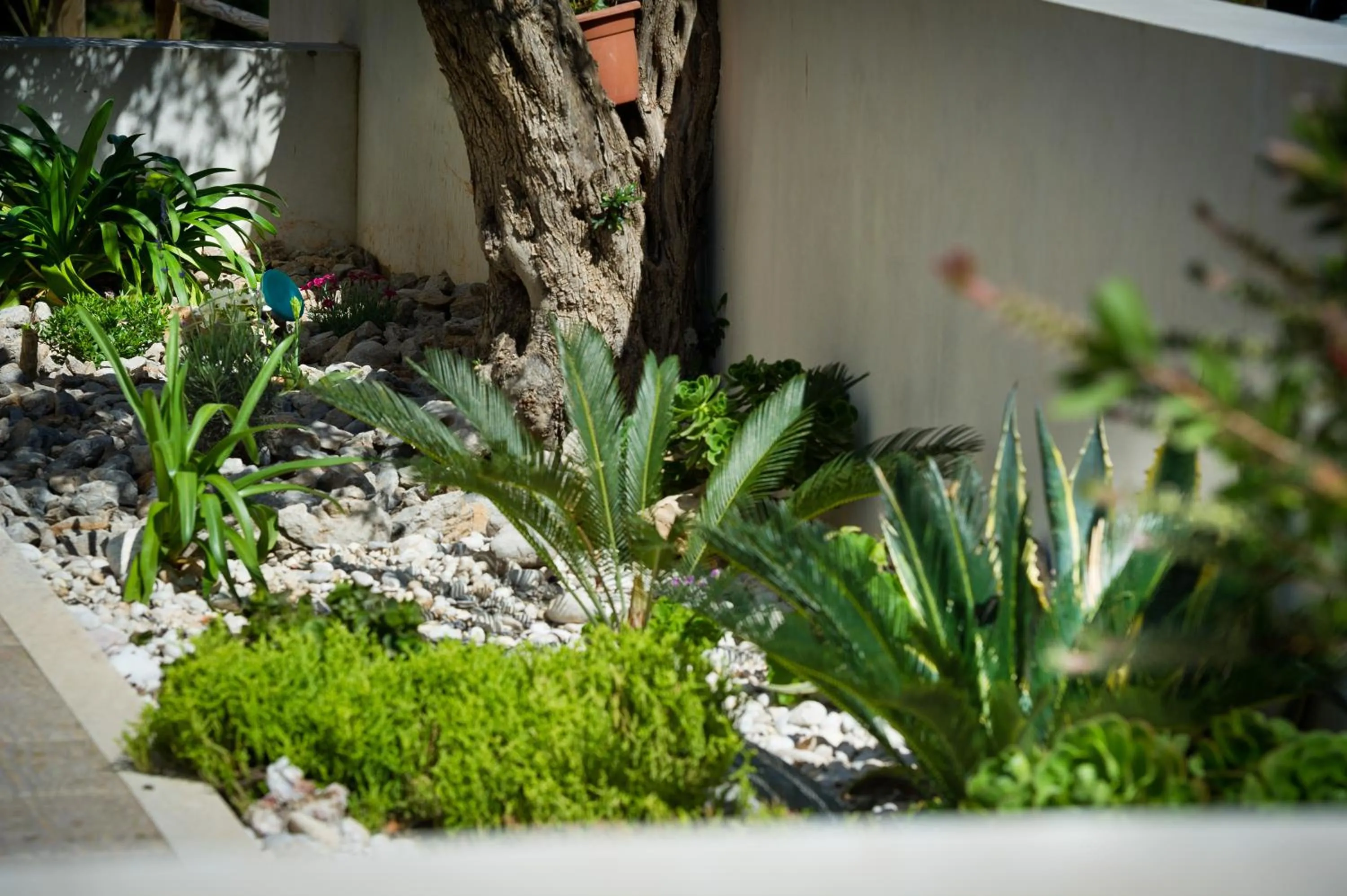 Garden in Al Cantuccio
