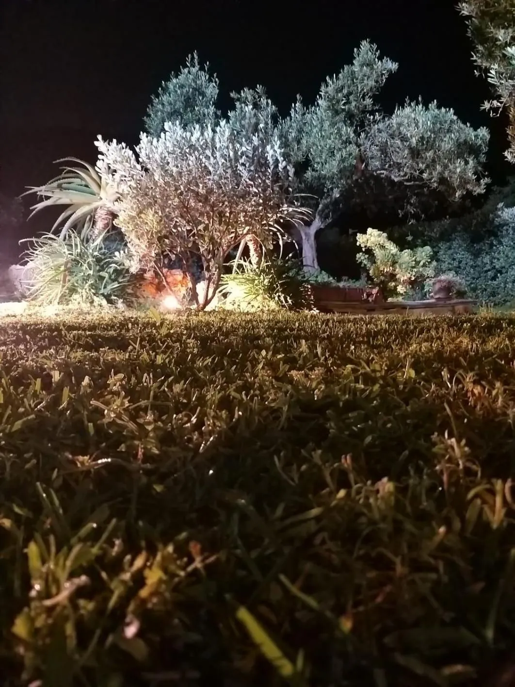 Garden view in Al Cantuccio