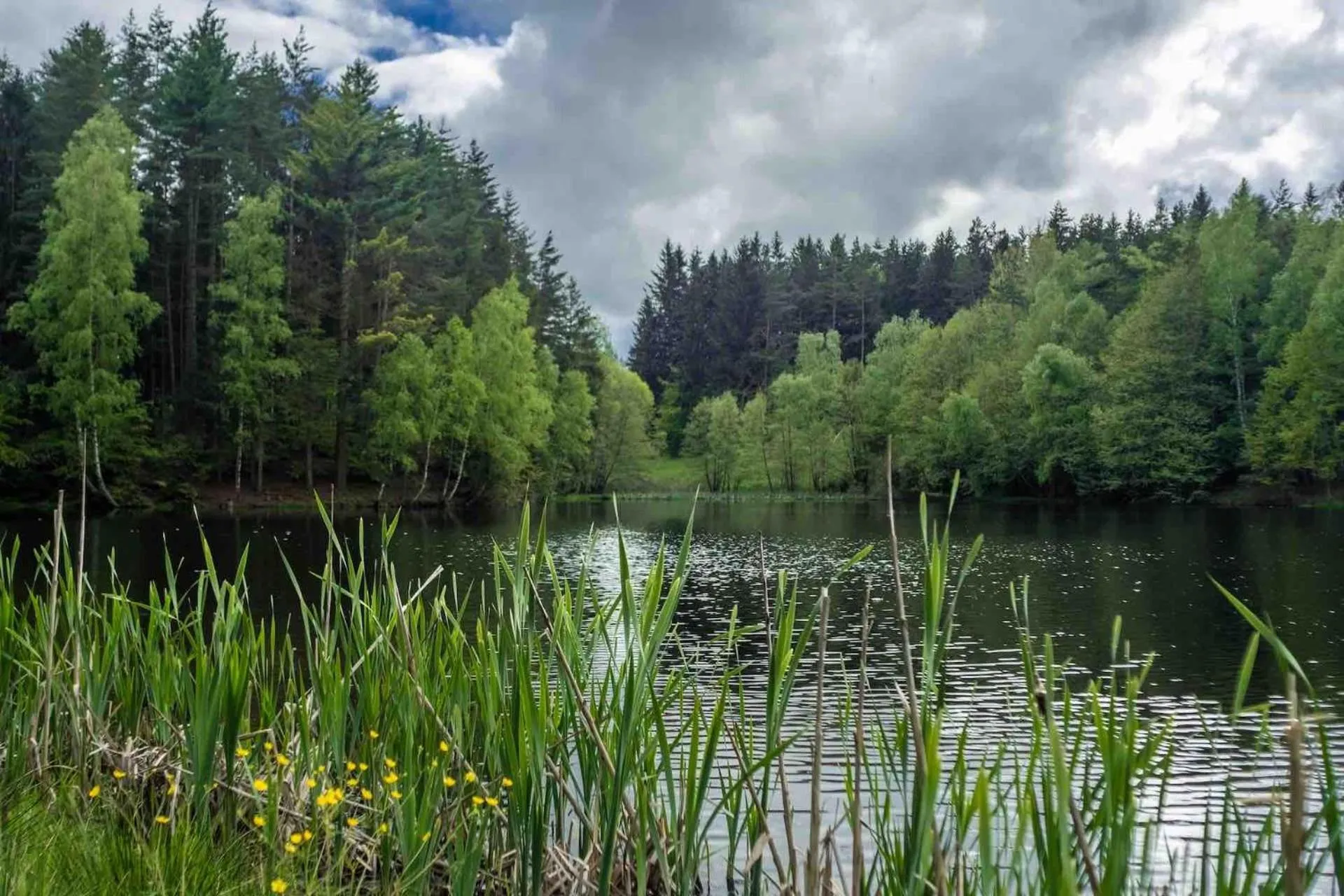 Lake view in Hotel Kouty