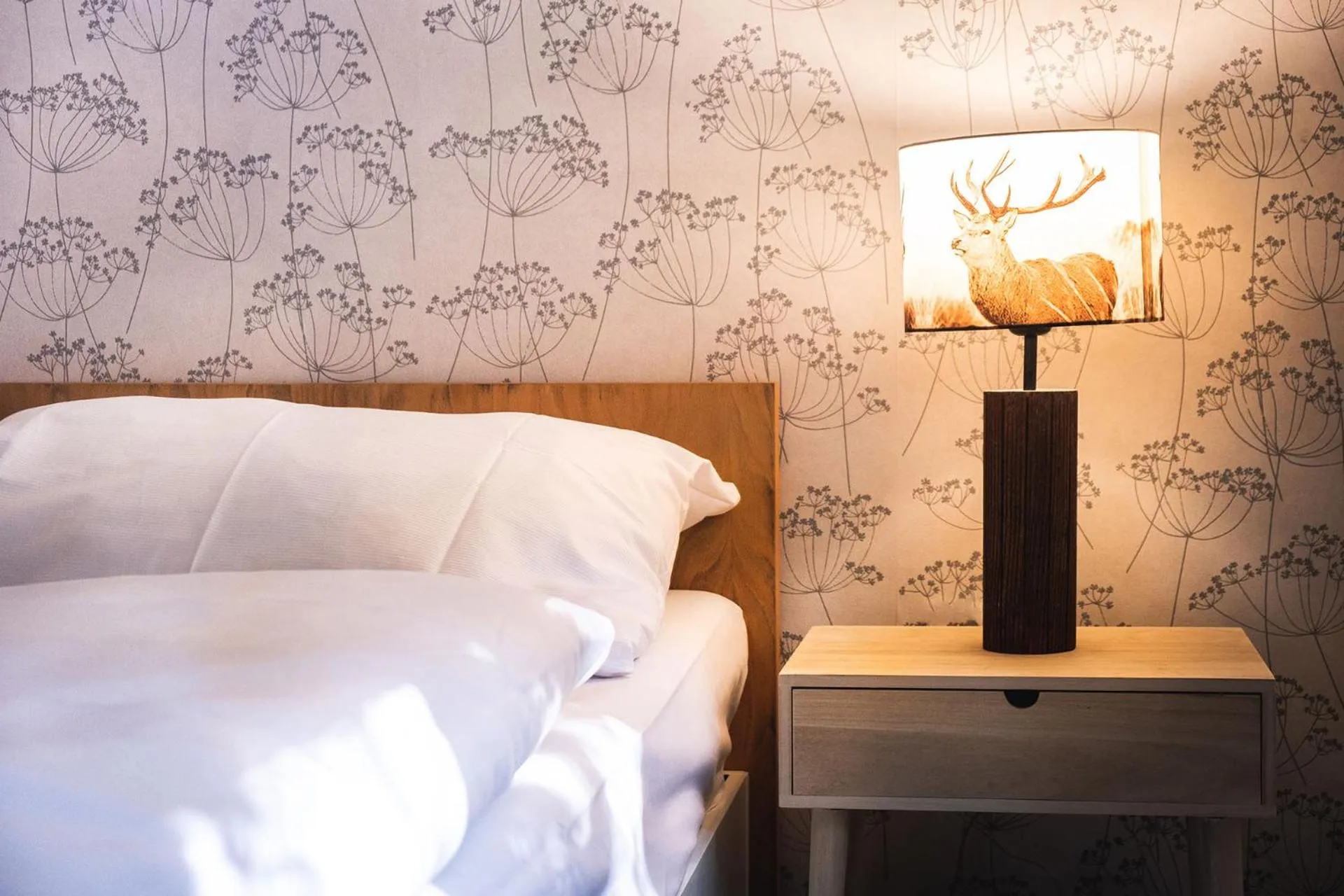 Photo of the whole room, Bed in Hotel Kouty