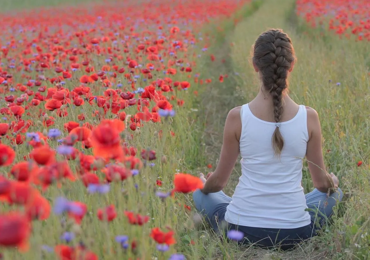 Natural landscape in Chateau des Perichons