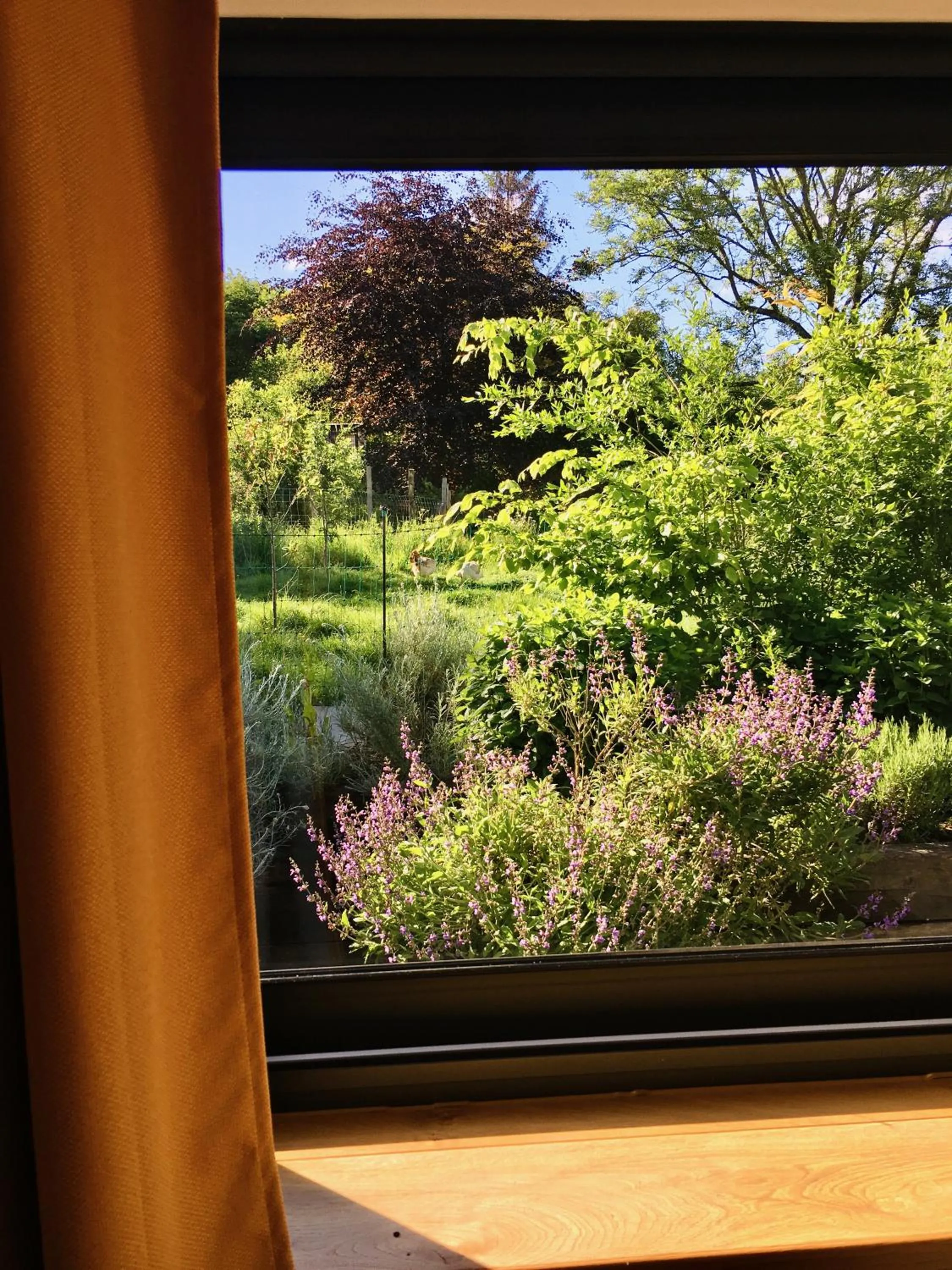 Garden view in Les Bobos à la ferme