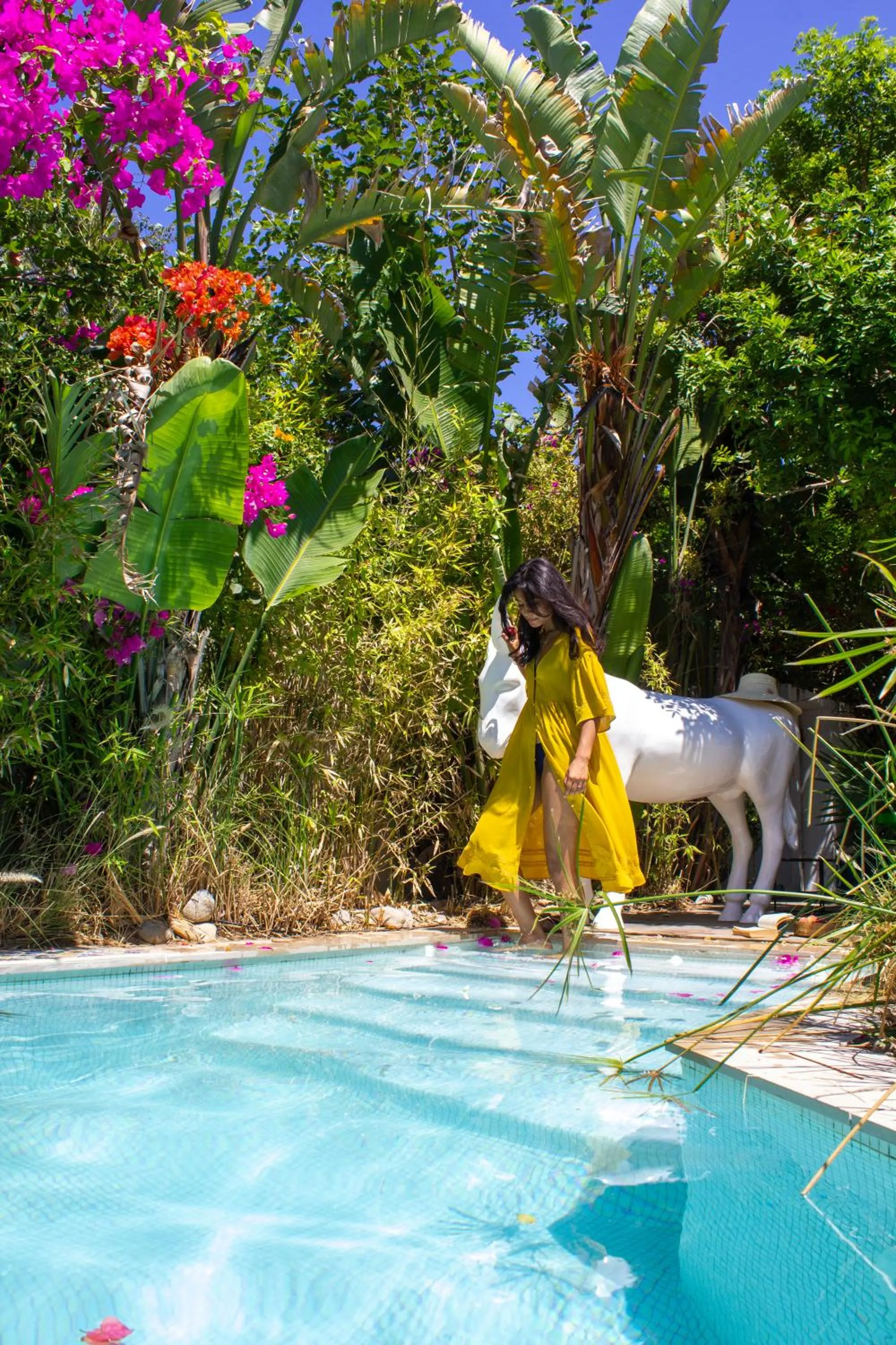 Swimming pool in Dar Marsa Cubes
