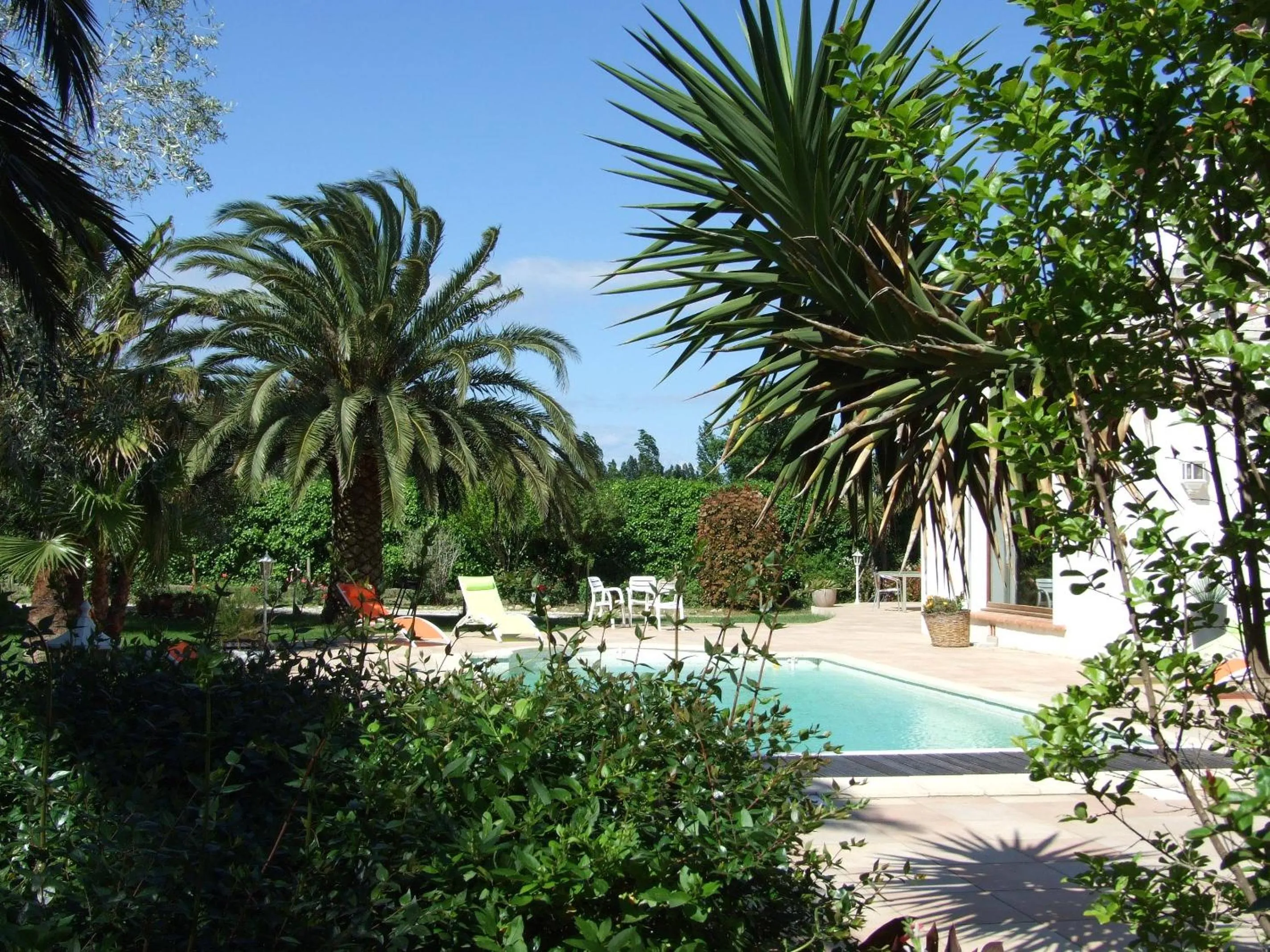 Swimming pool in Mas Picton