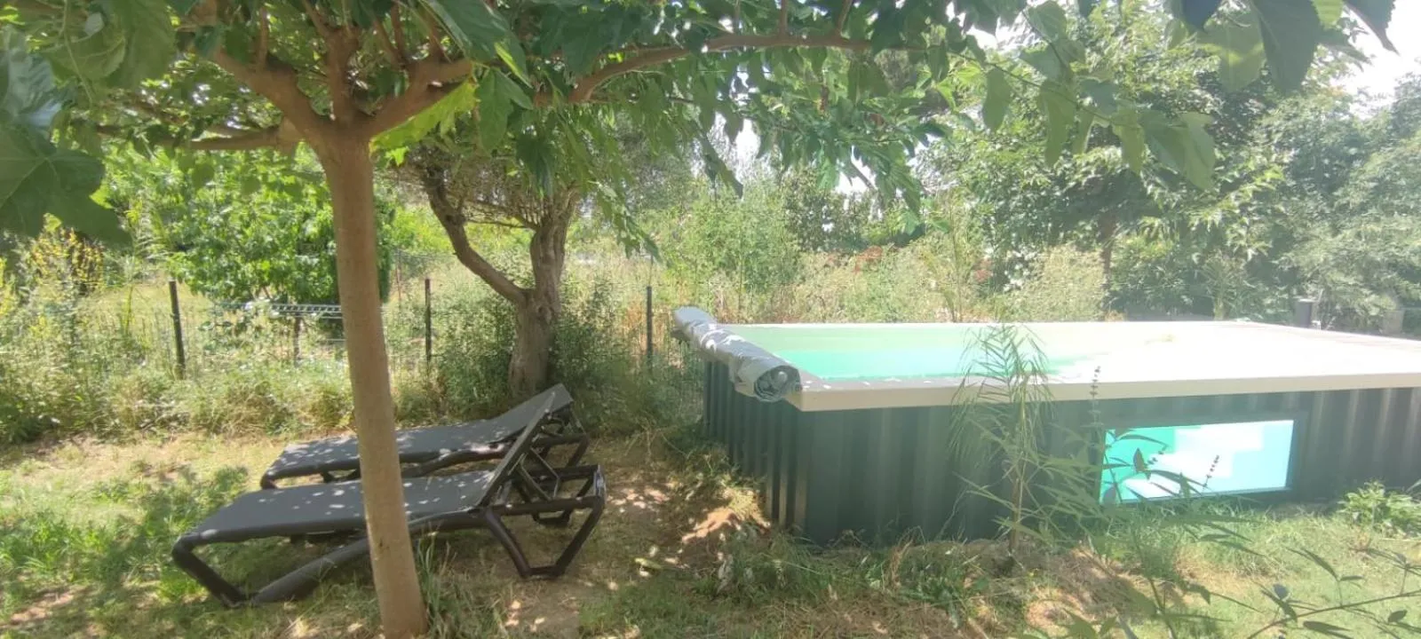 Pool view in Mas Picton