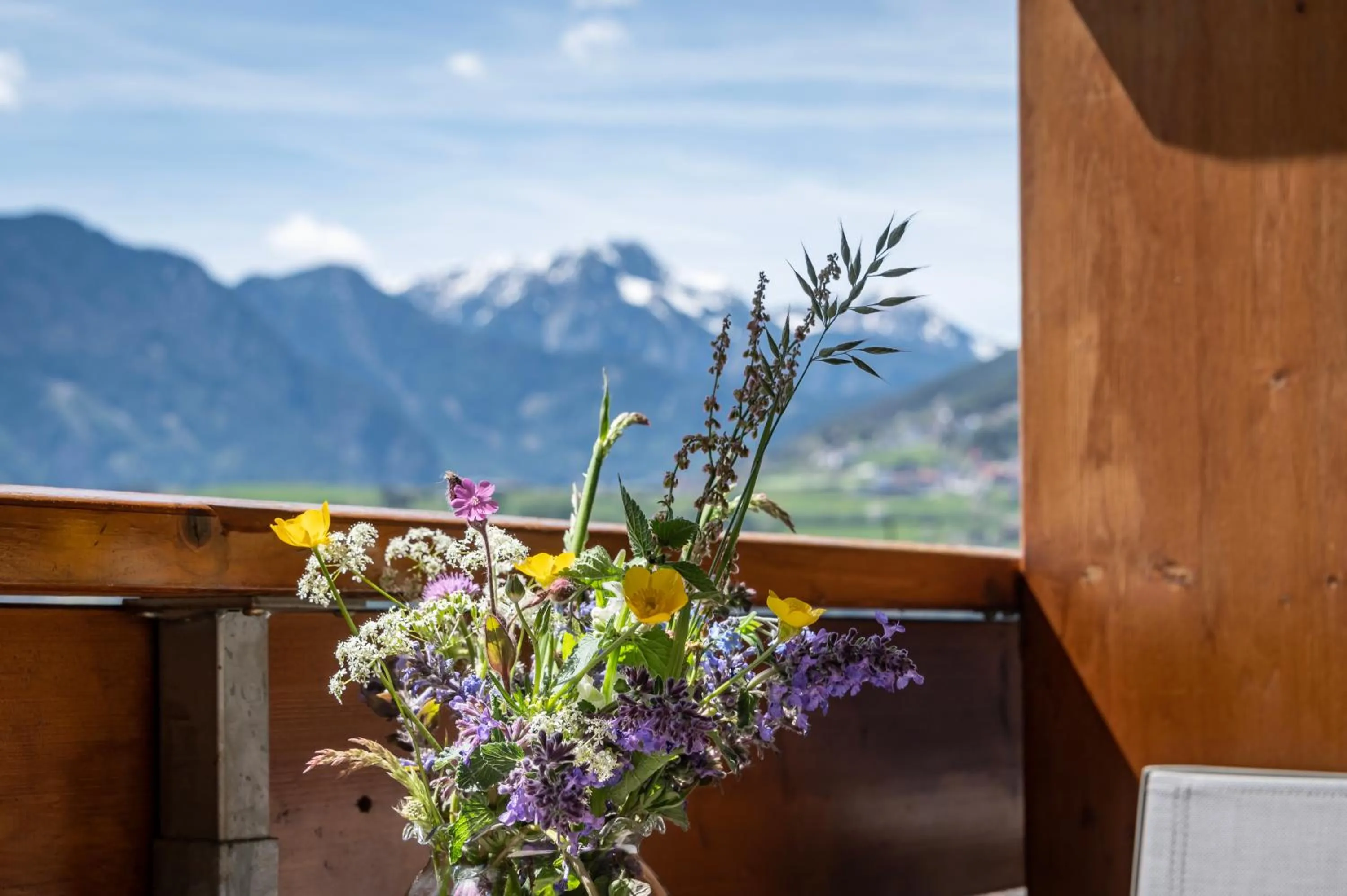 Panorama Residence Schlossblick