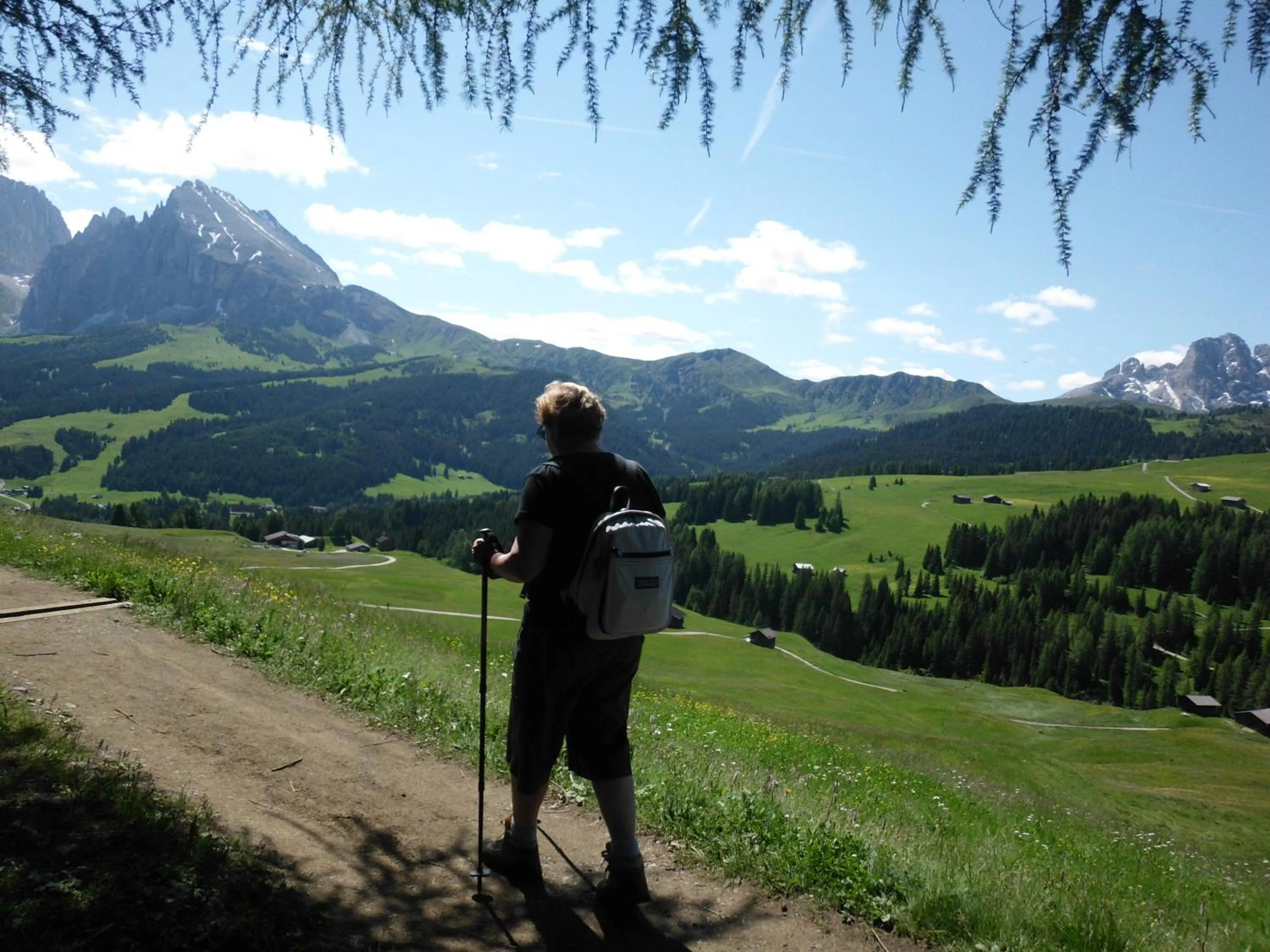 Area and facilities in Panorama Residence Schlossblick