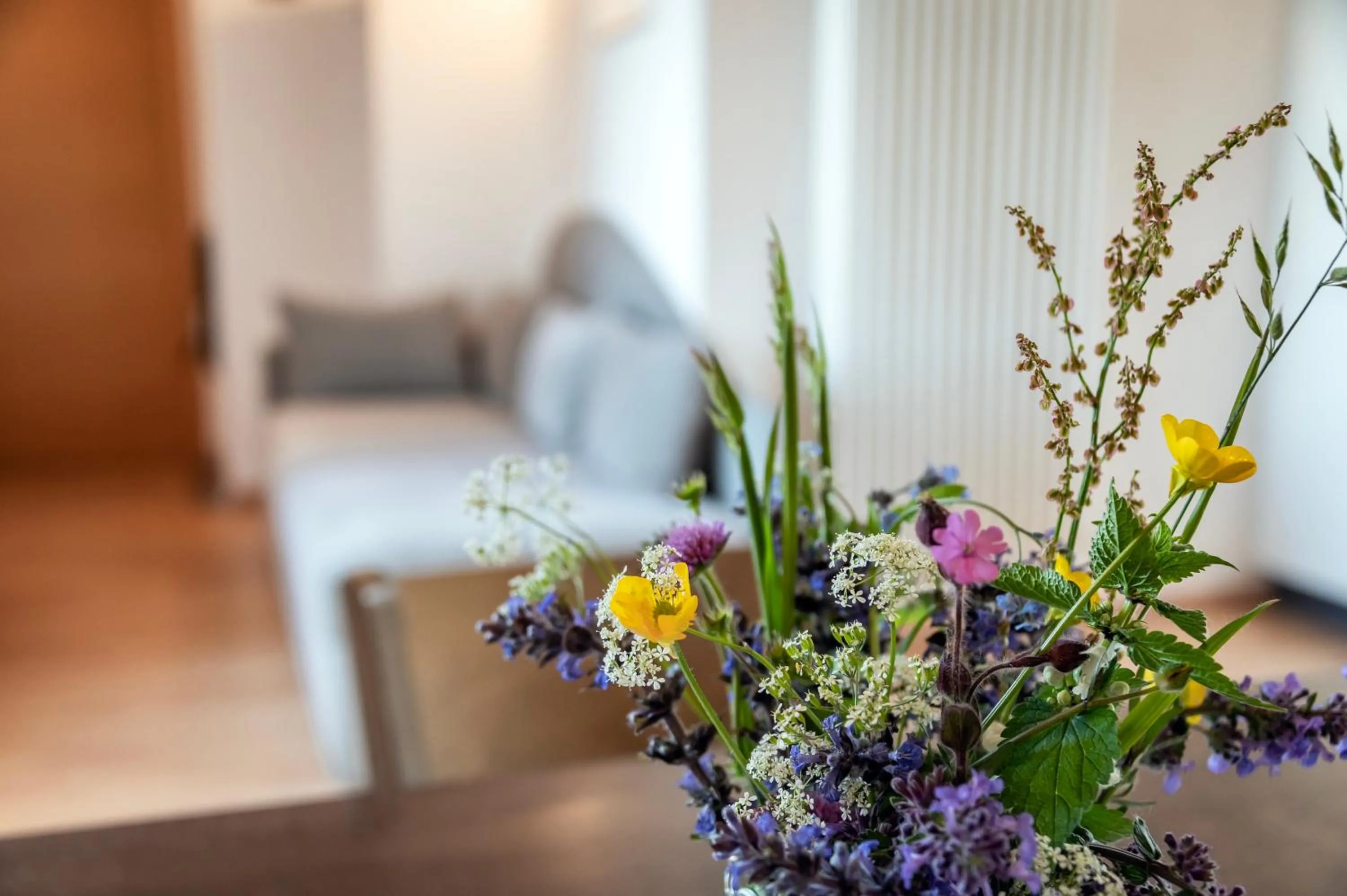 Panorama Residence Schlossblick