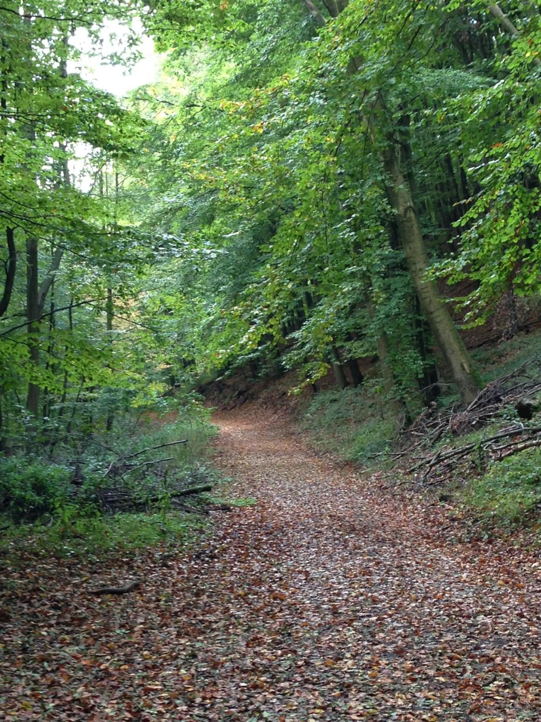 Natural landscape in Waldhotel Porta Westfalica