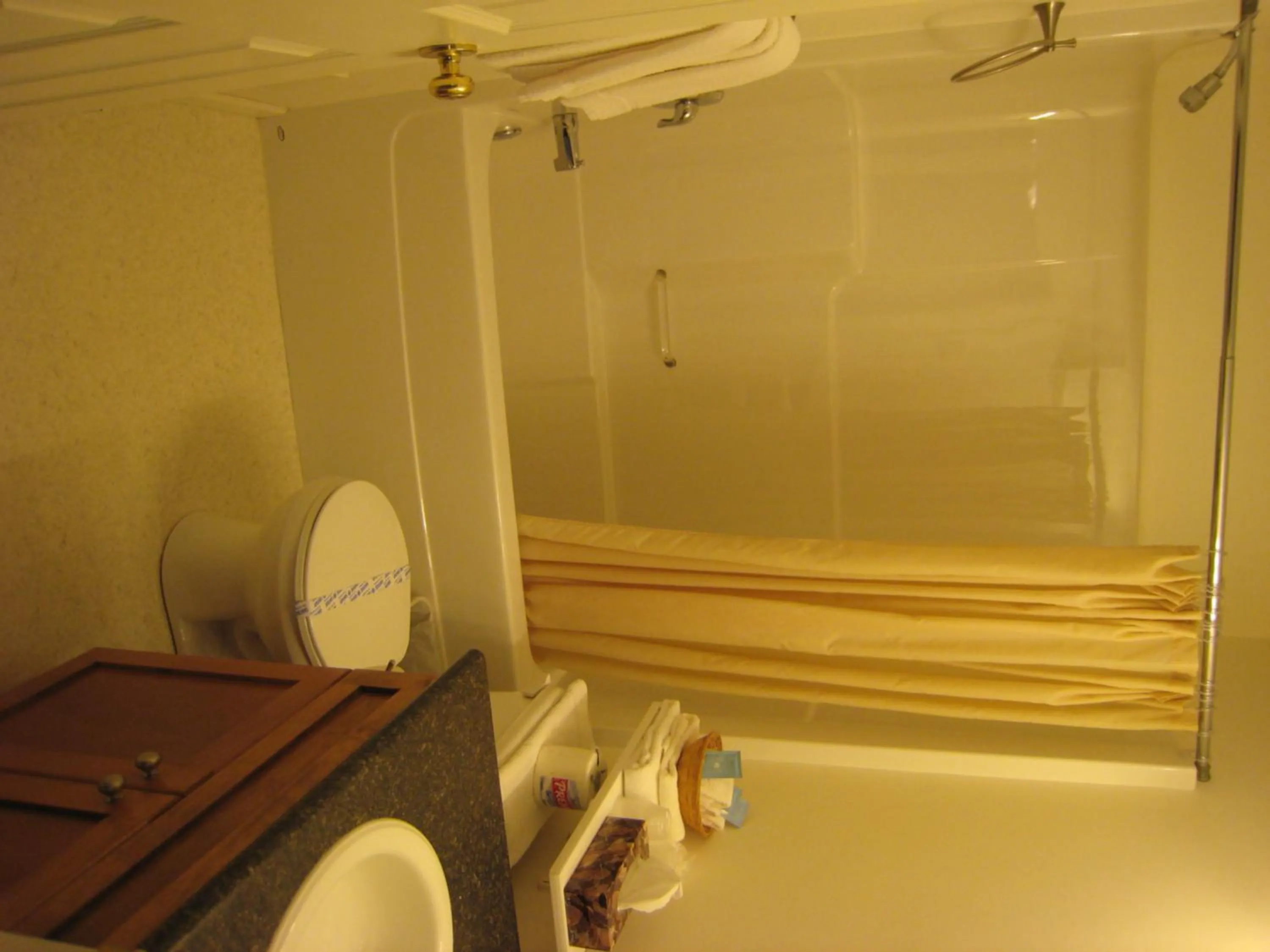 Shower in Best Continental Motel