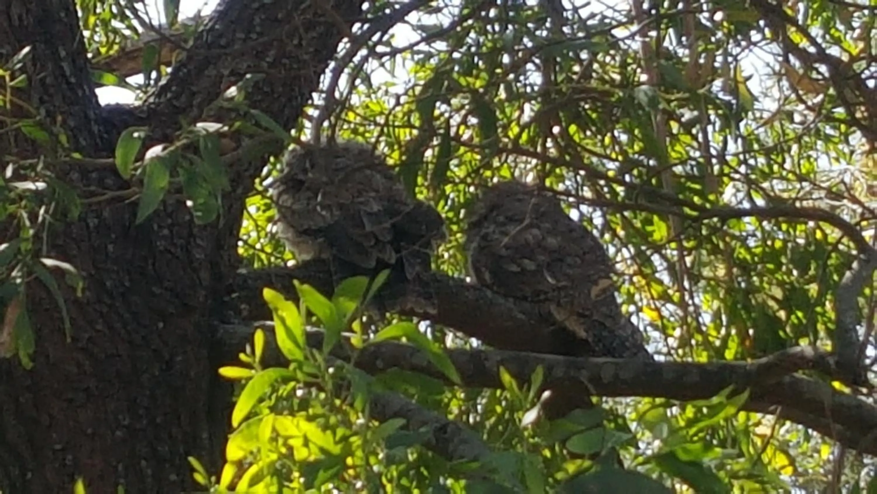 Other in Arthurs Views