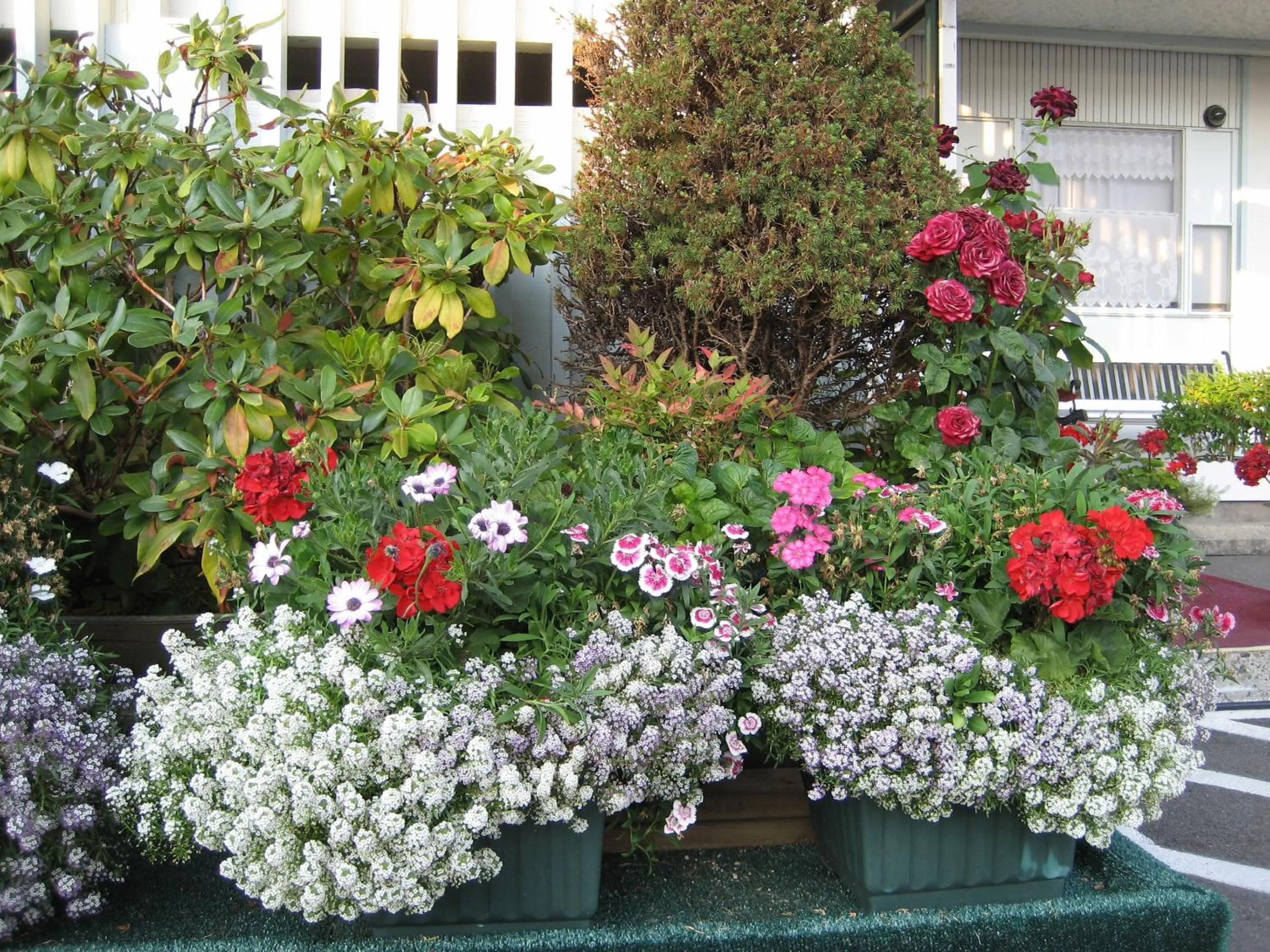 Spring in Slumber Lodge