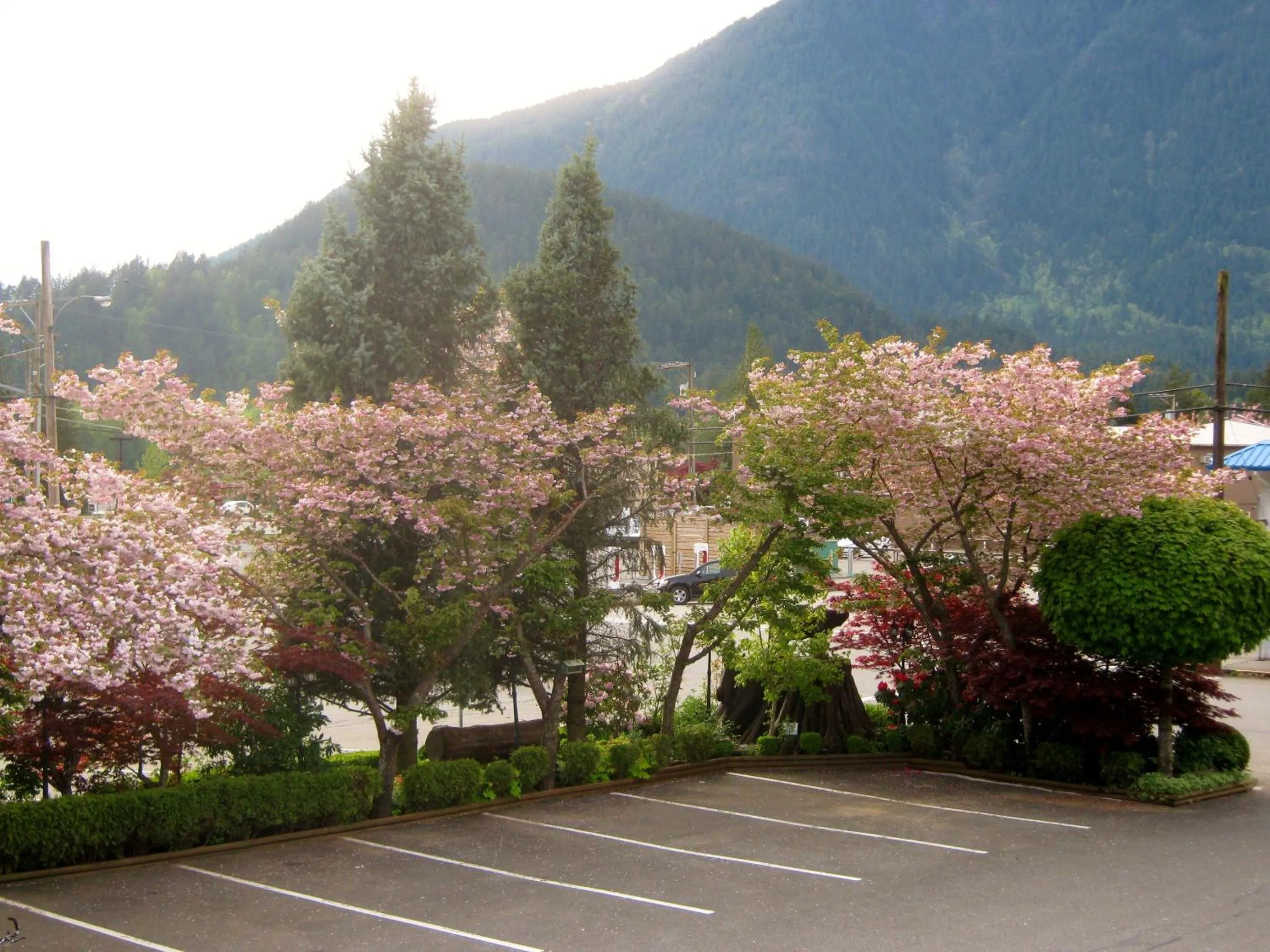 Natural landscape in Slumber Lodge