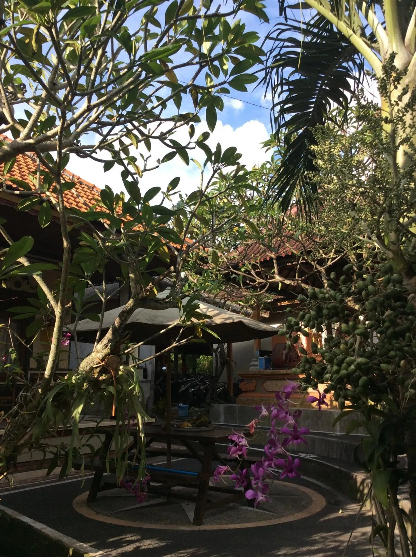 Neighbourhood in Pande Homestay