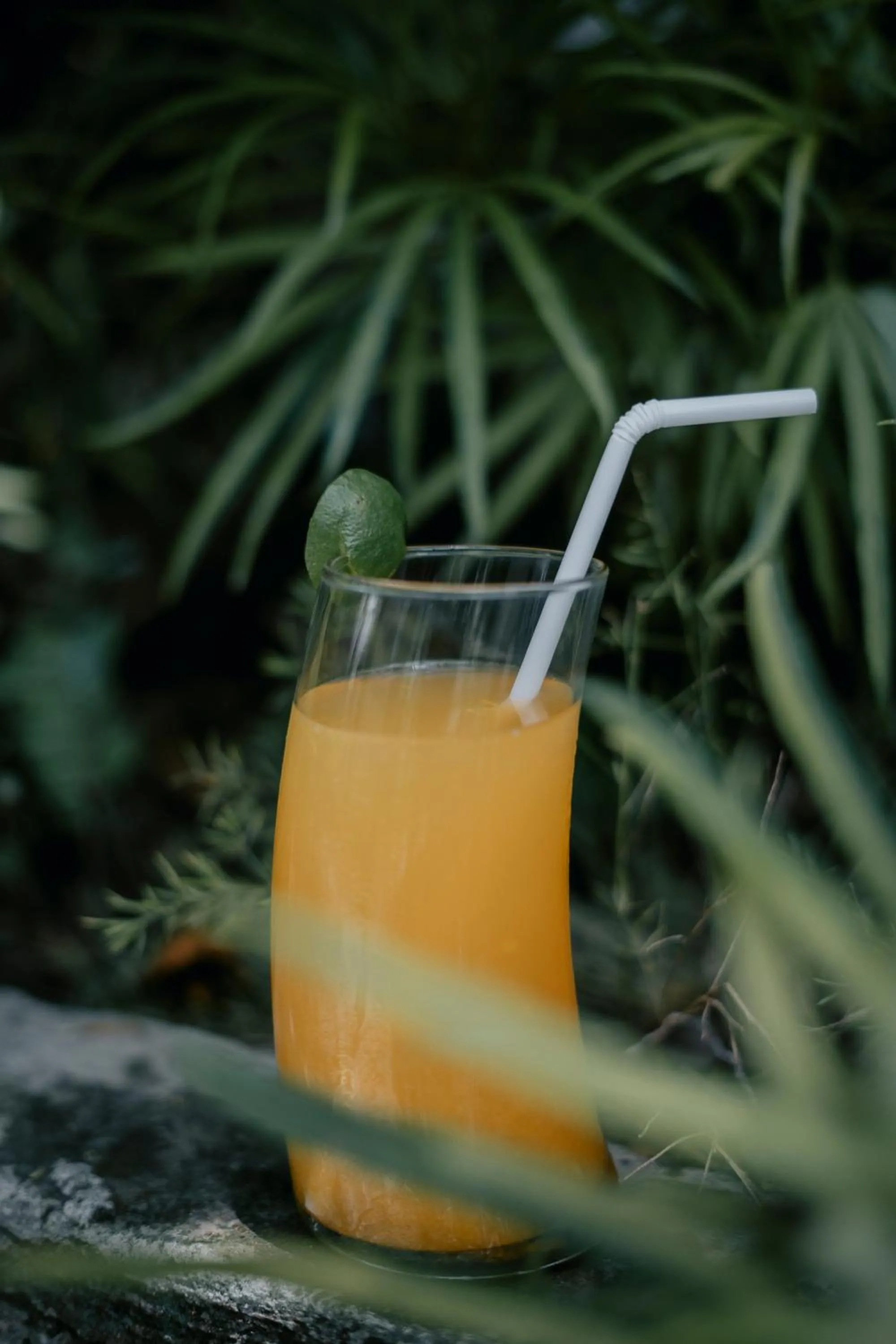 Food in Alam Bidadari Seminyak