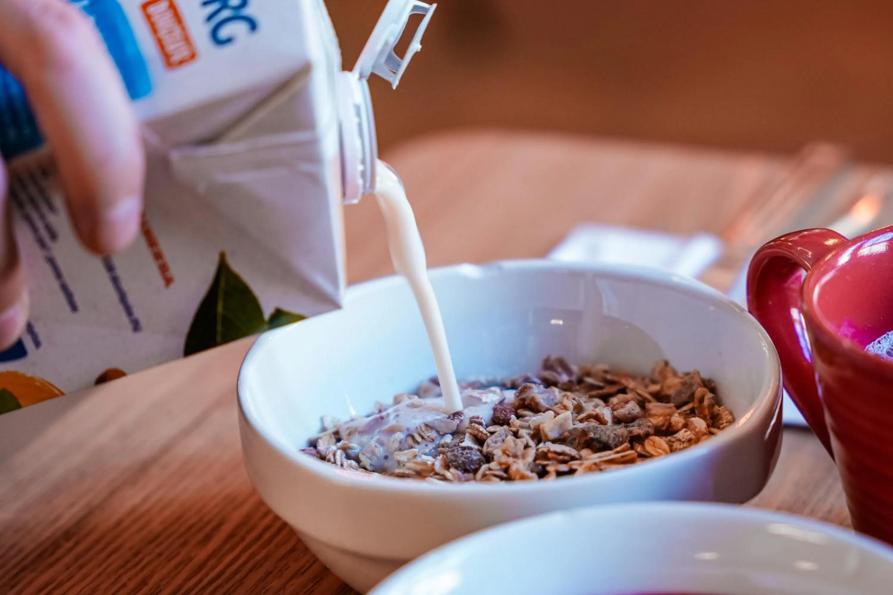 Breakfast in ibis budget Marseille Vieux Port