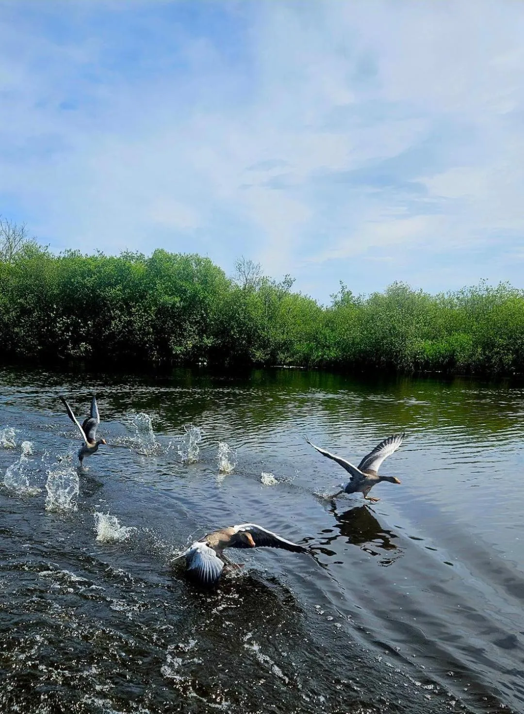 Natural landscape in Regency Guest House