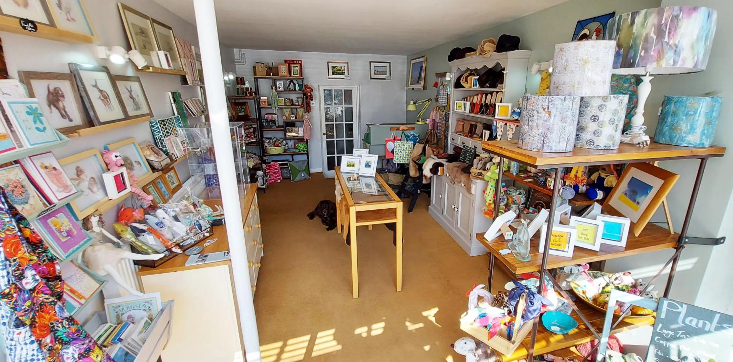 Shopping Area in Regency Guest House