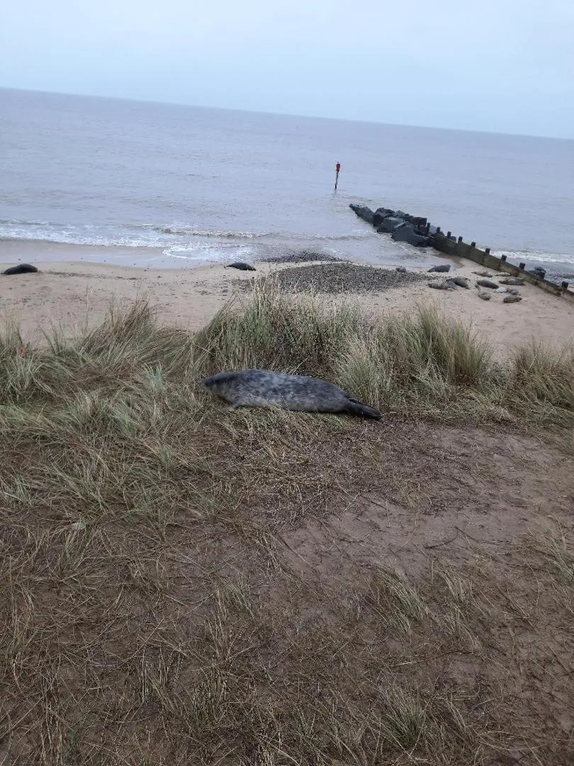 Natural landscape in Regency Guest House