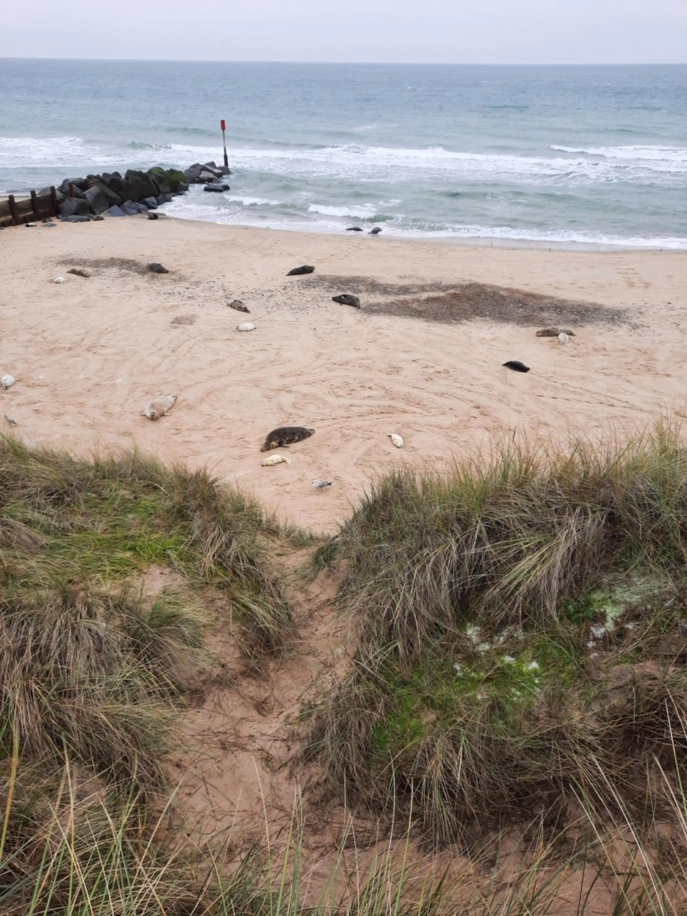 Beach in Regency Guest House