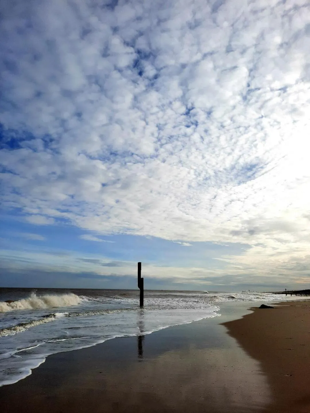 Natural landscape in Regency Guest House