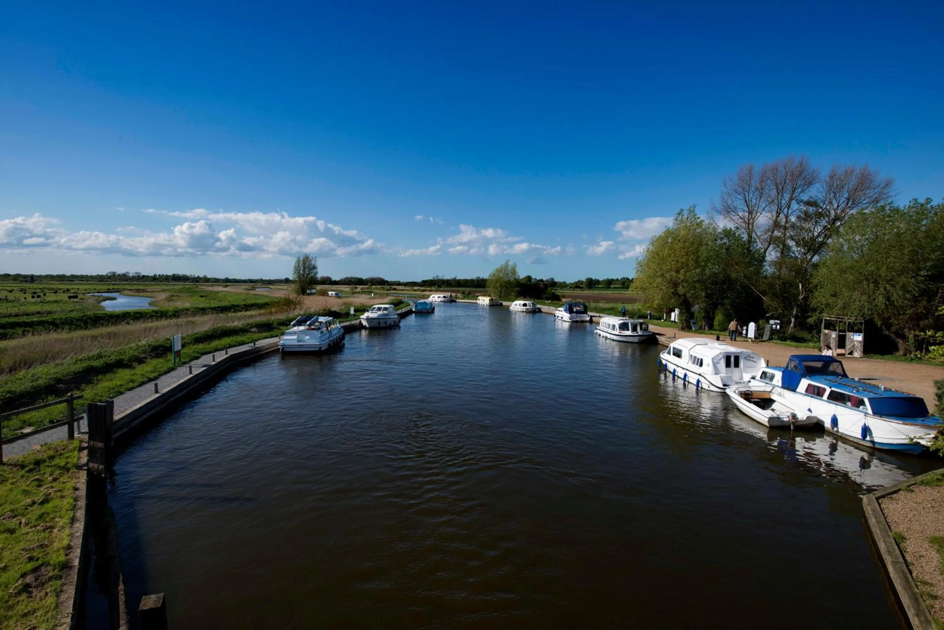 Natural landscape in Regency Guest House