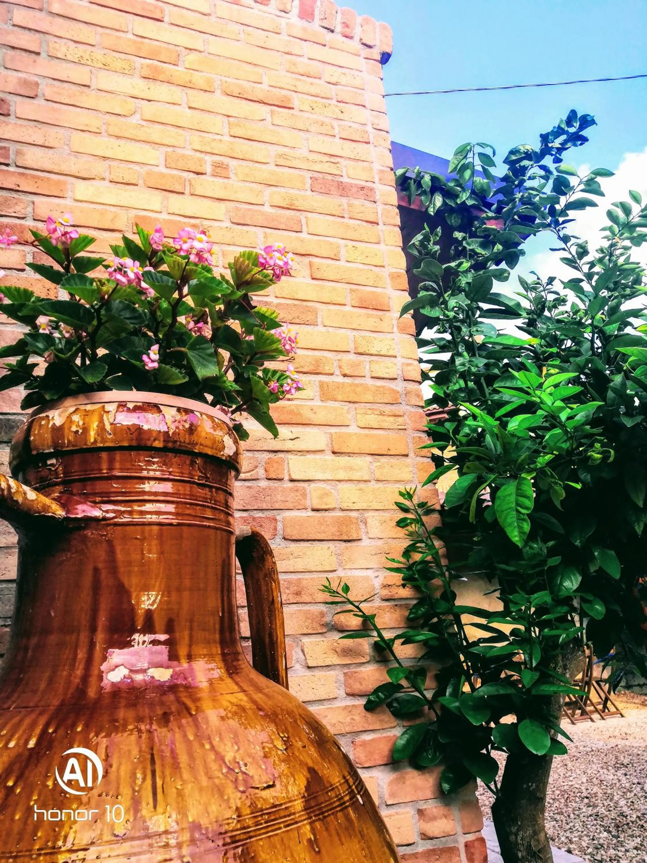 Garden in BORGO LUNA b&b