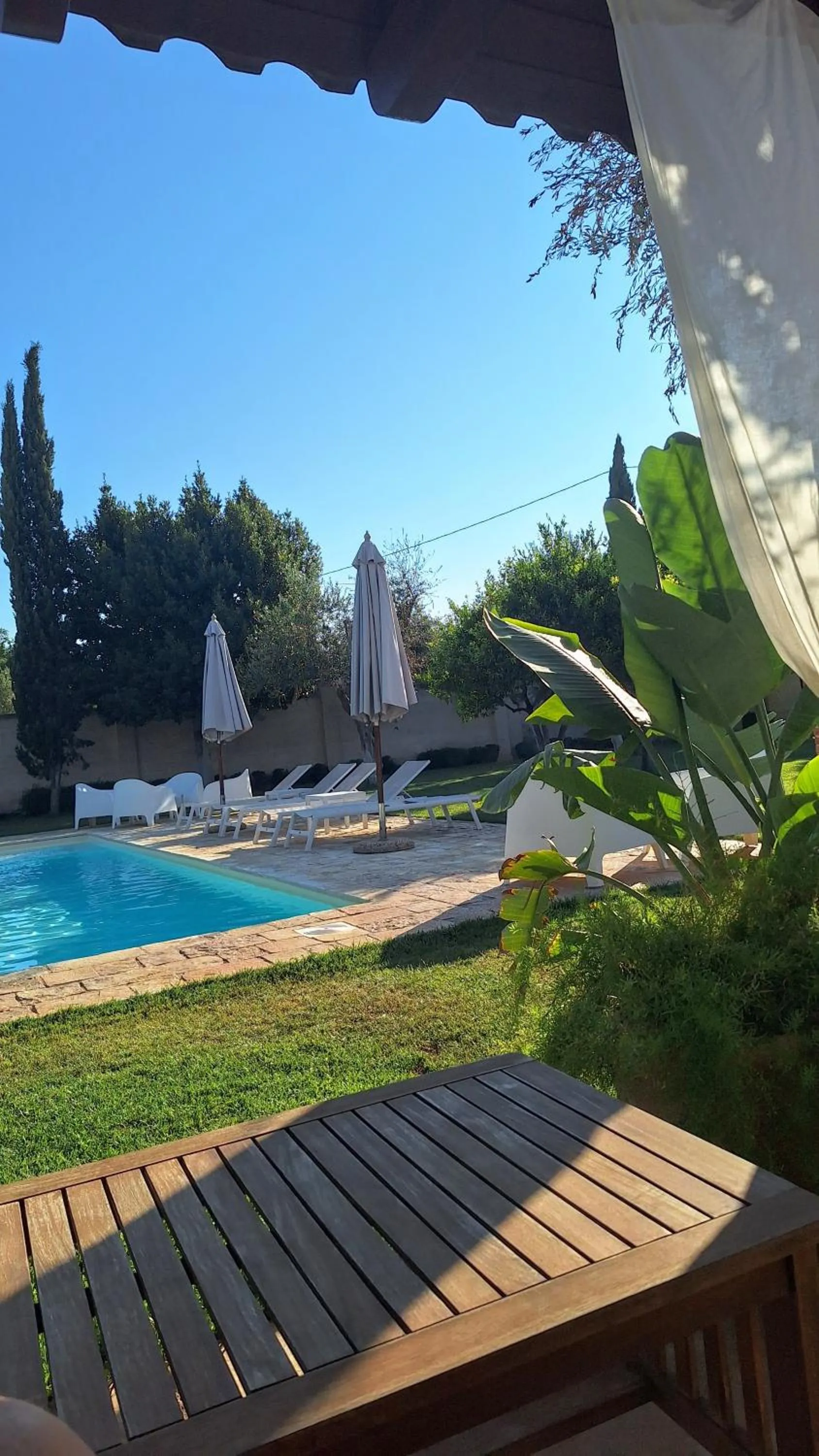 Swimming pool in BORGO LUNA b&b