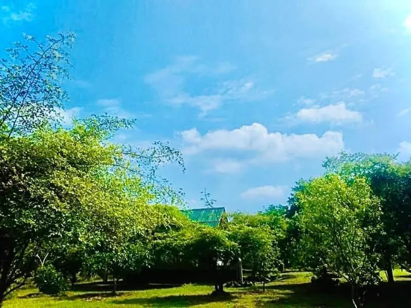 Thihawa Eco Huts Yala