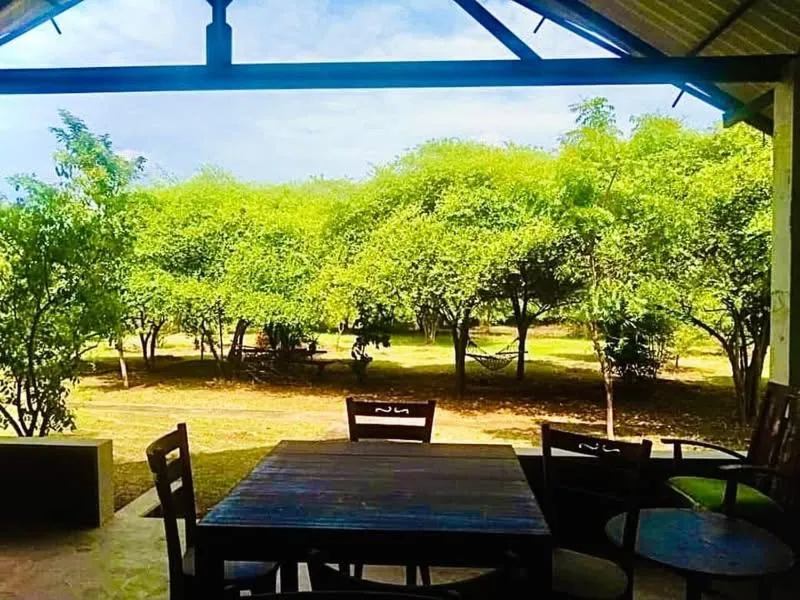 Thihawa Eco Huts Yala