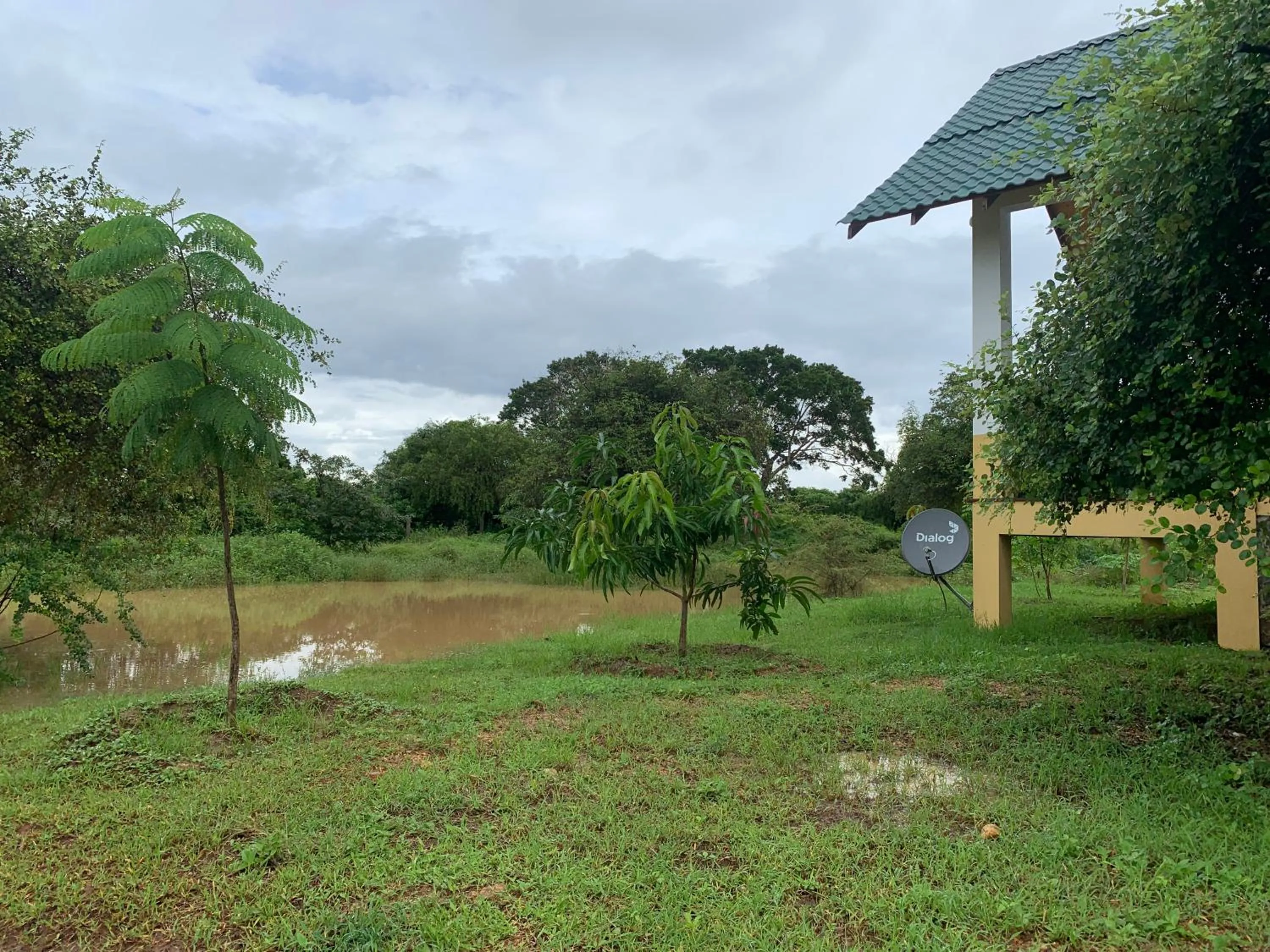 Thihawa Eco Huts Yala