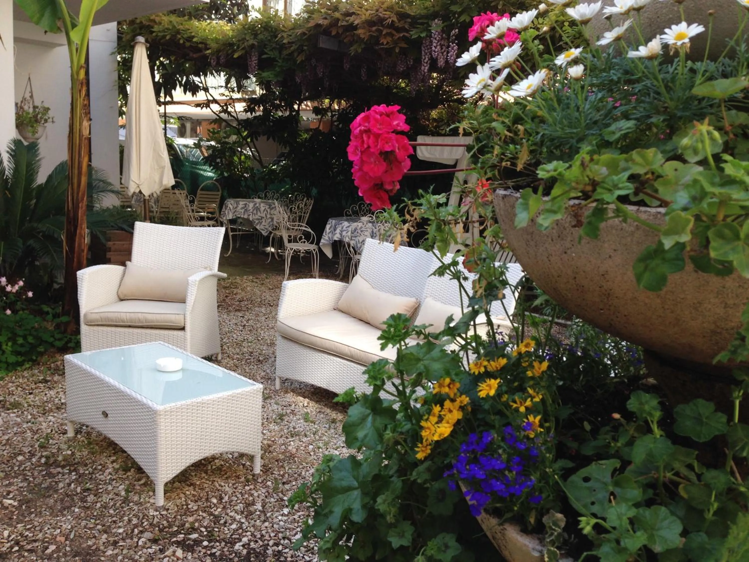 Garden in NOIDUE Hotel