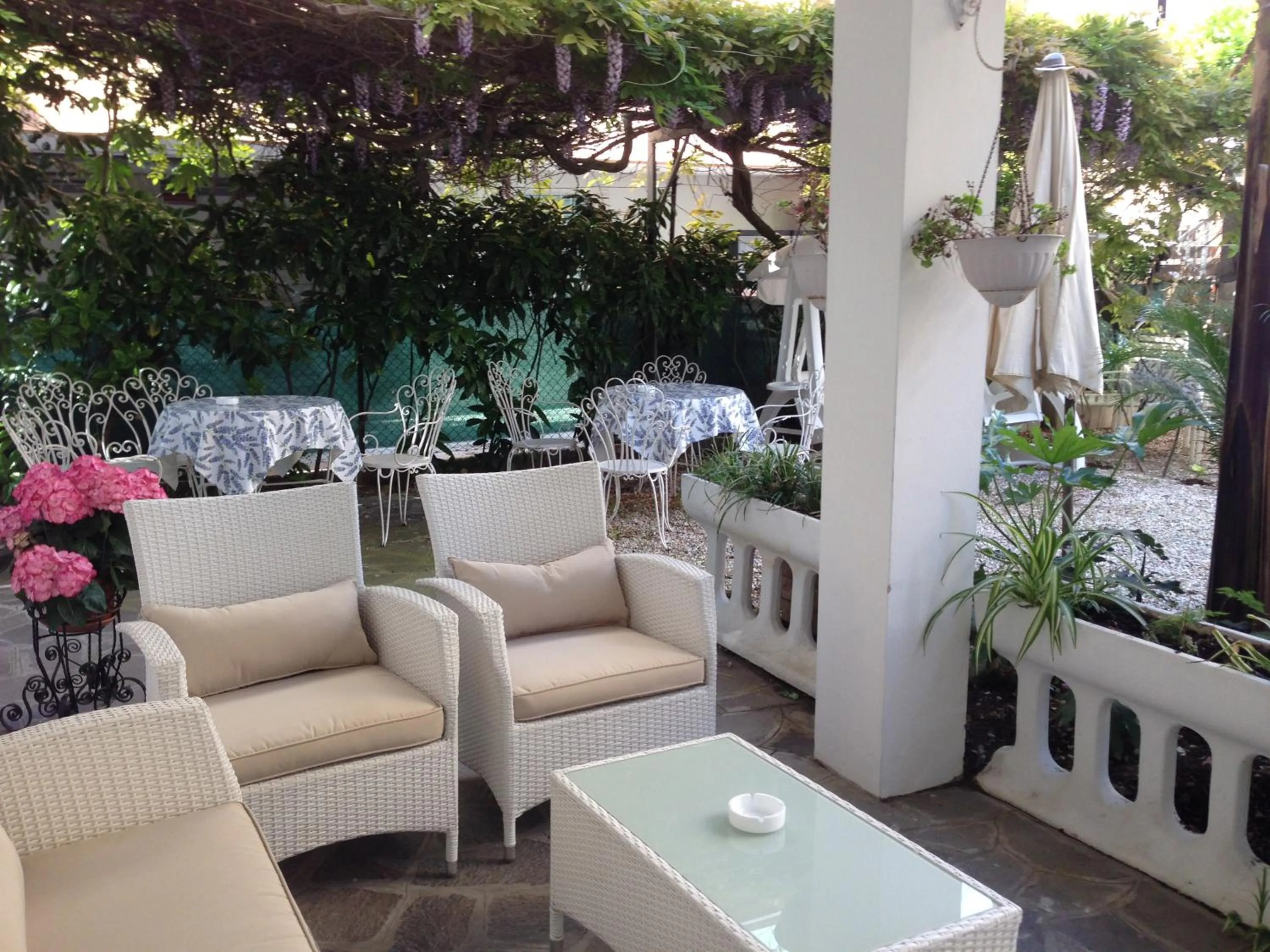 Garden in NOIDUE Hotel