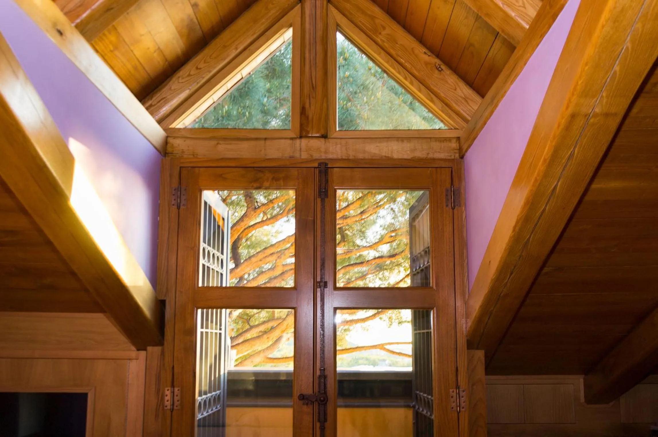 View (from property/room) in Villa Di Natale