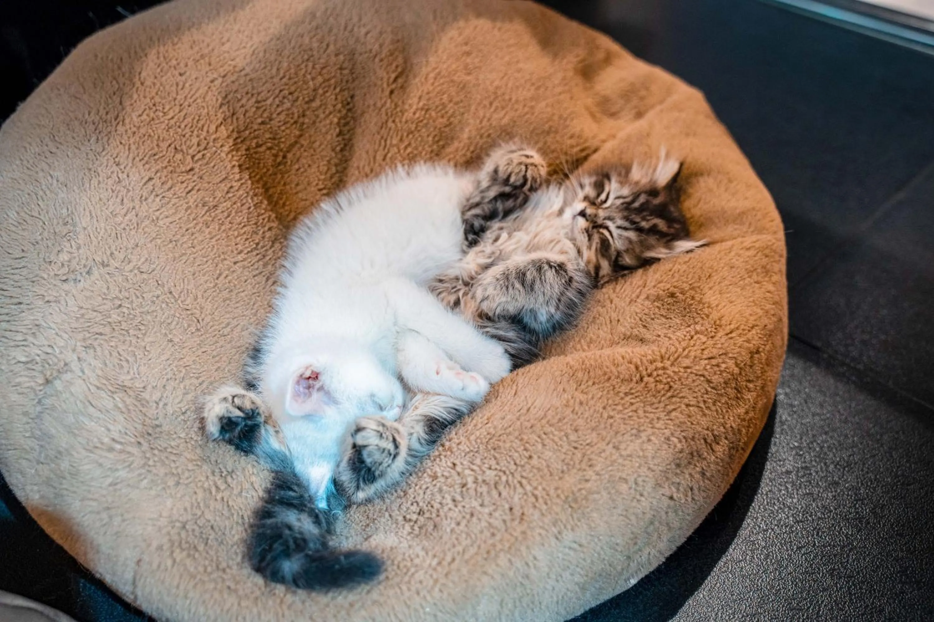 Kids's club in HeSu Hidden Art Hotel & Suites -Near Xi'an Drum Tower and Yongning Gate -Free Laundry Luggage Storage -Kitty Café with Freshly Ground Coffee -24H Front Desk -English Service -Exclusive Subsidies for Dumpling Banquet & Show