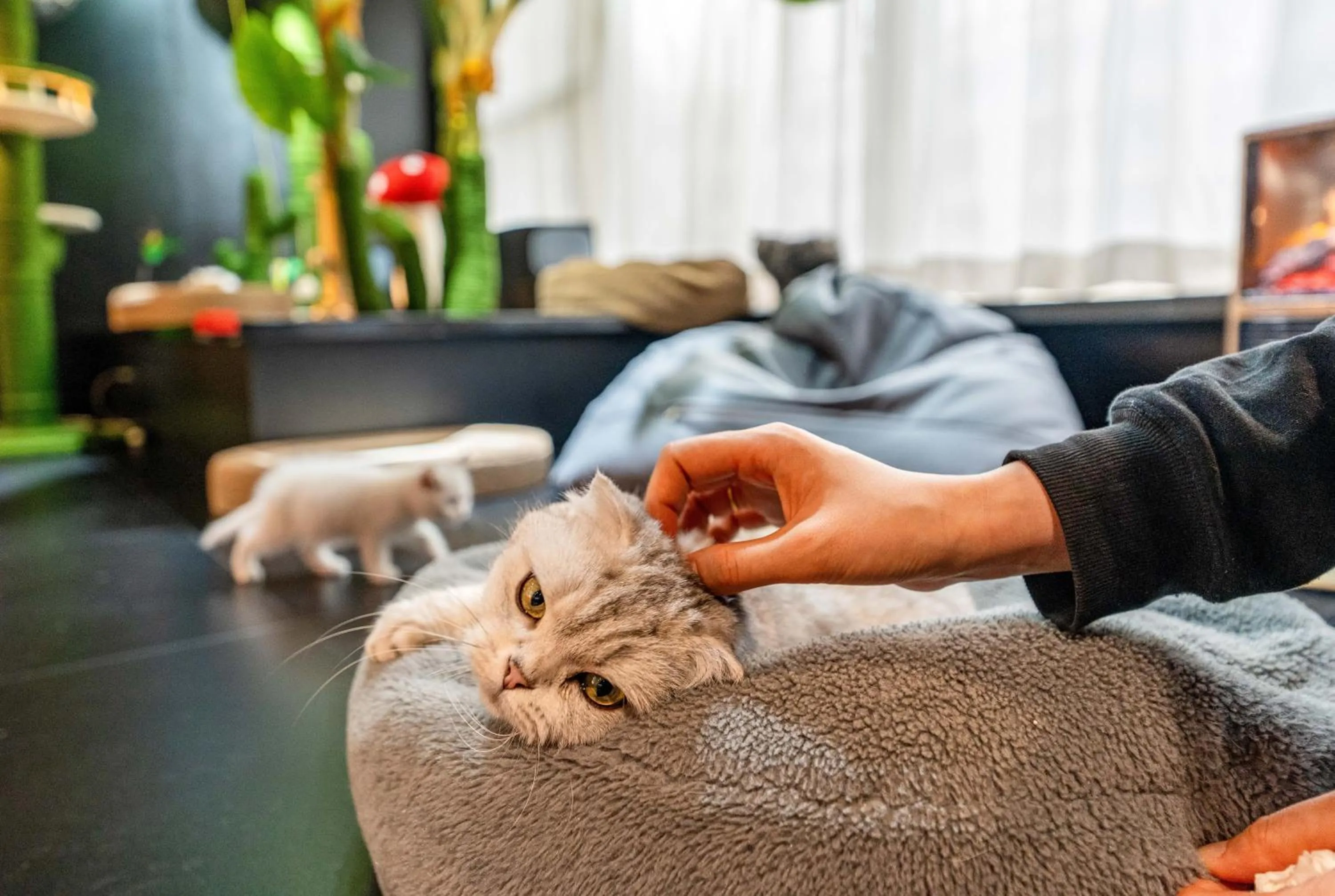 Kids's club in HeSu Hidden Art Hotel & Suites -Near Xi'an Drum Tower and Yongning Gate -Free Laundry Luggage Storage -Kitty Café with Freshly Ground Coffee -24H Front Desk -English Service -Exclusive Subsidies for Dumpling Banquet & Show