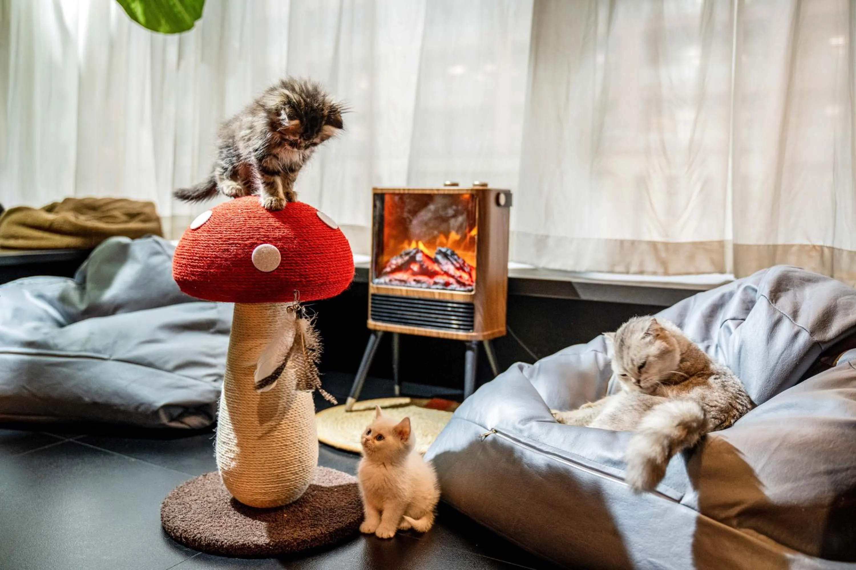 Kids's club in HeSu Hidden Art Hotel & Suites -Near Xi'an Drum Tower and Yongning Gate -Free Laundry Luggage Storage -Kitty Café with Freshly Ground Coffee -24H Front Desk -English Service -Exclusive Subsidies for Dumpling Banquet & Show