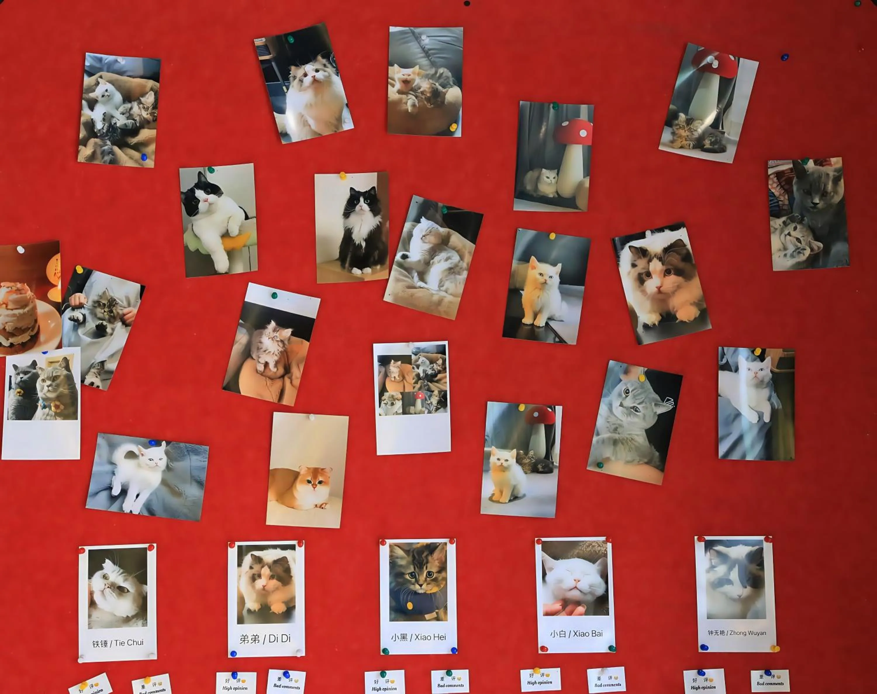 Children play ground in HeSu Hidden Art Hotel & Suites -Near Xi'an Drum Tower and Yongning Gate -Free Laundry Luggage Storage -Kitty Café with Freshly Ground Coffee -24H Front Desk -English Service -Exclusive Subsidies for Dumpling Banquet & Show