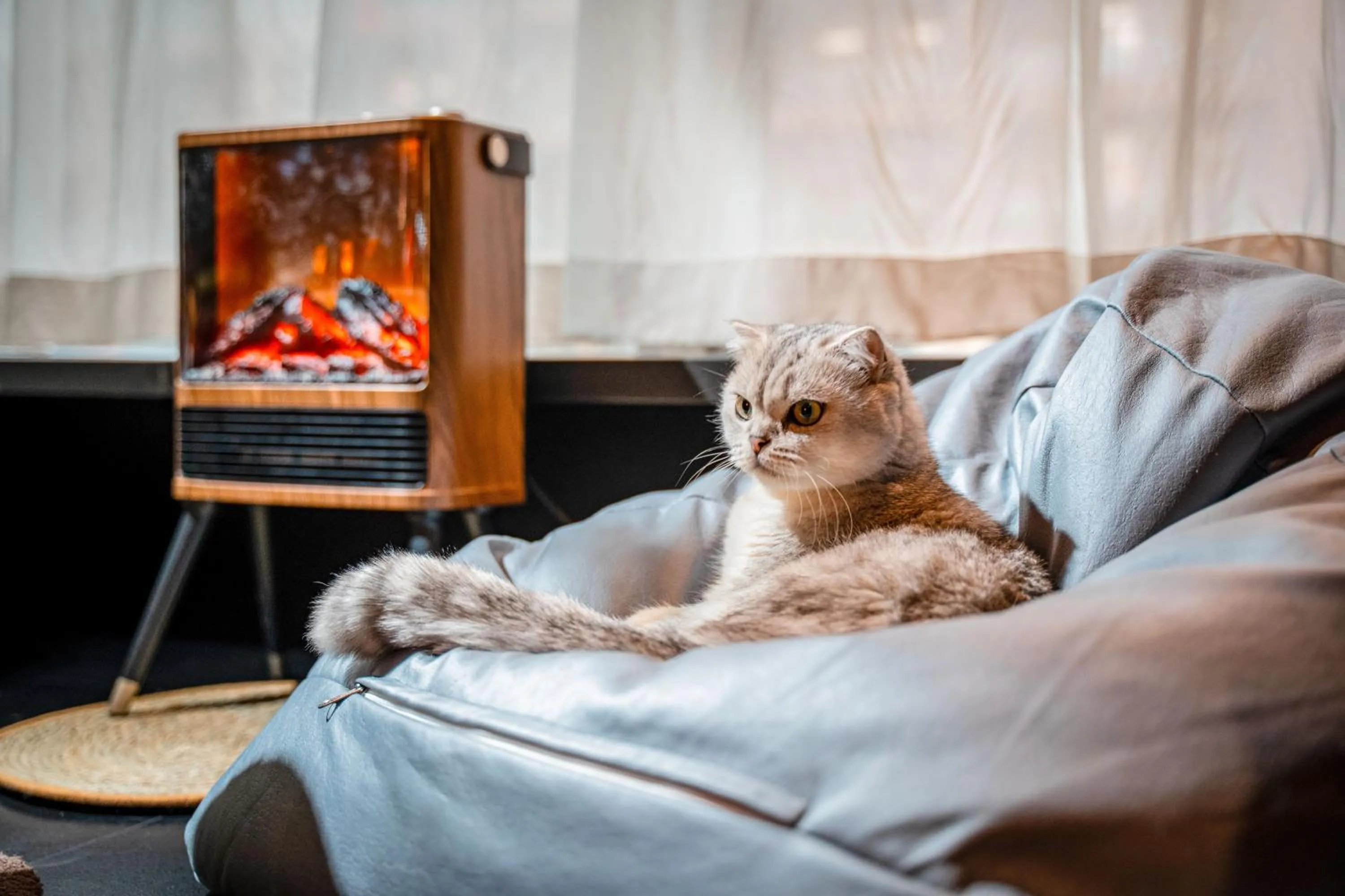 HeSu Hidden Art Hotel & Suites -Near Xi'an Drum Tower and Yongning Gate -Free Laundry Luggage Storage -Kitty Café with Freshly Ground Coffee -24H Front Desk -English Service -Exclusive Subsidies for Dumpling Banquet & Show