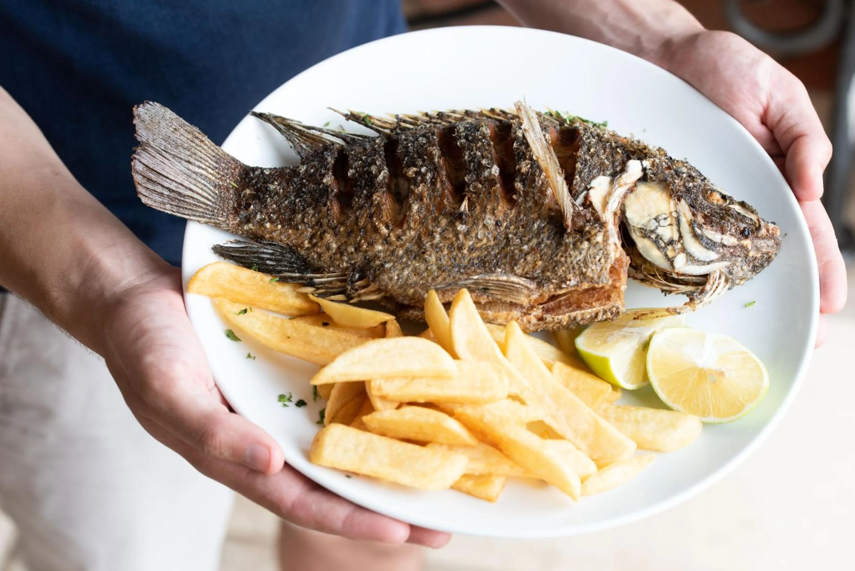 Restaurant/places to eat in Astoria Galilee Hotel