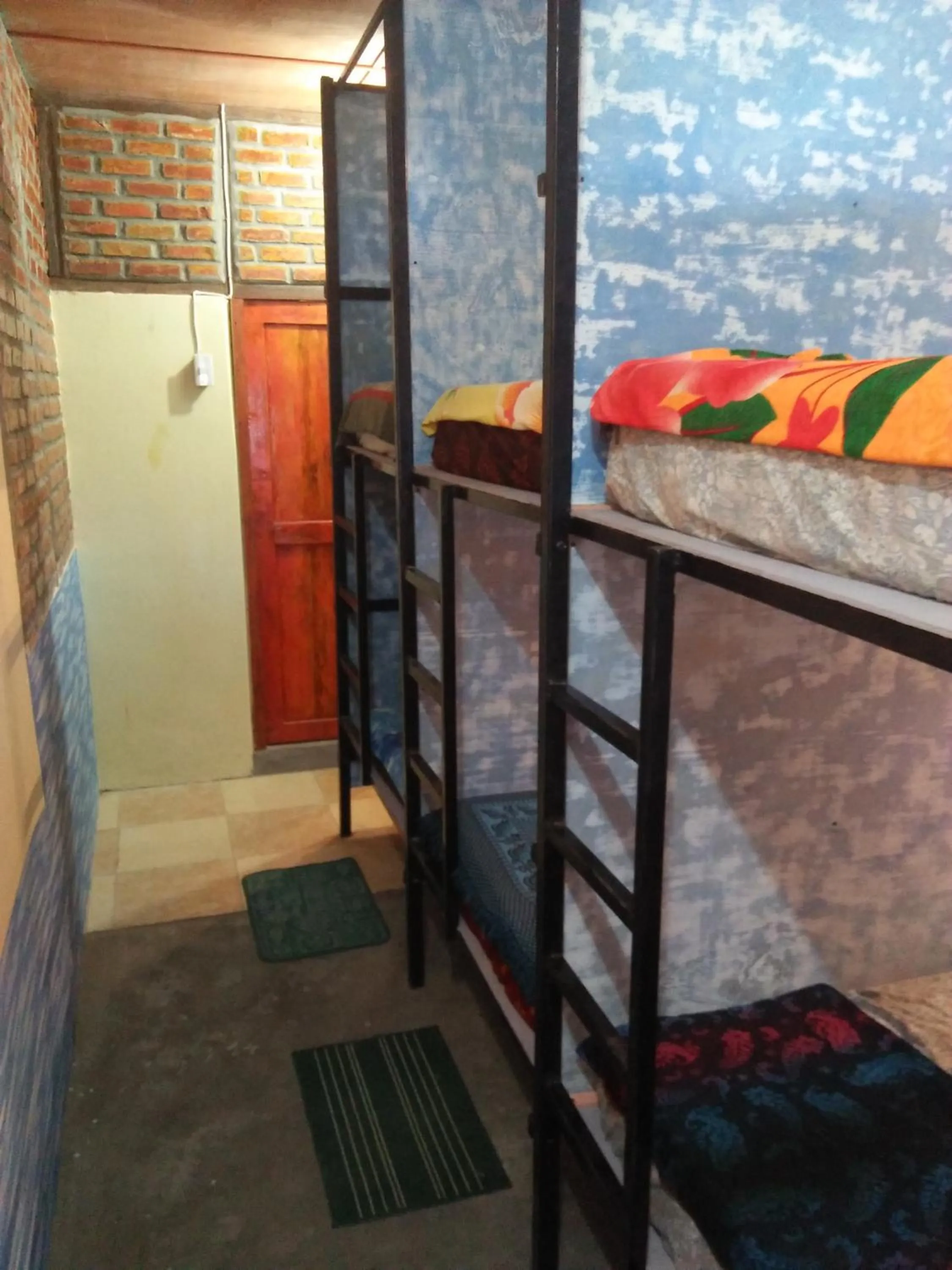 bunk bed, Bed in Salty Dog Hostel