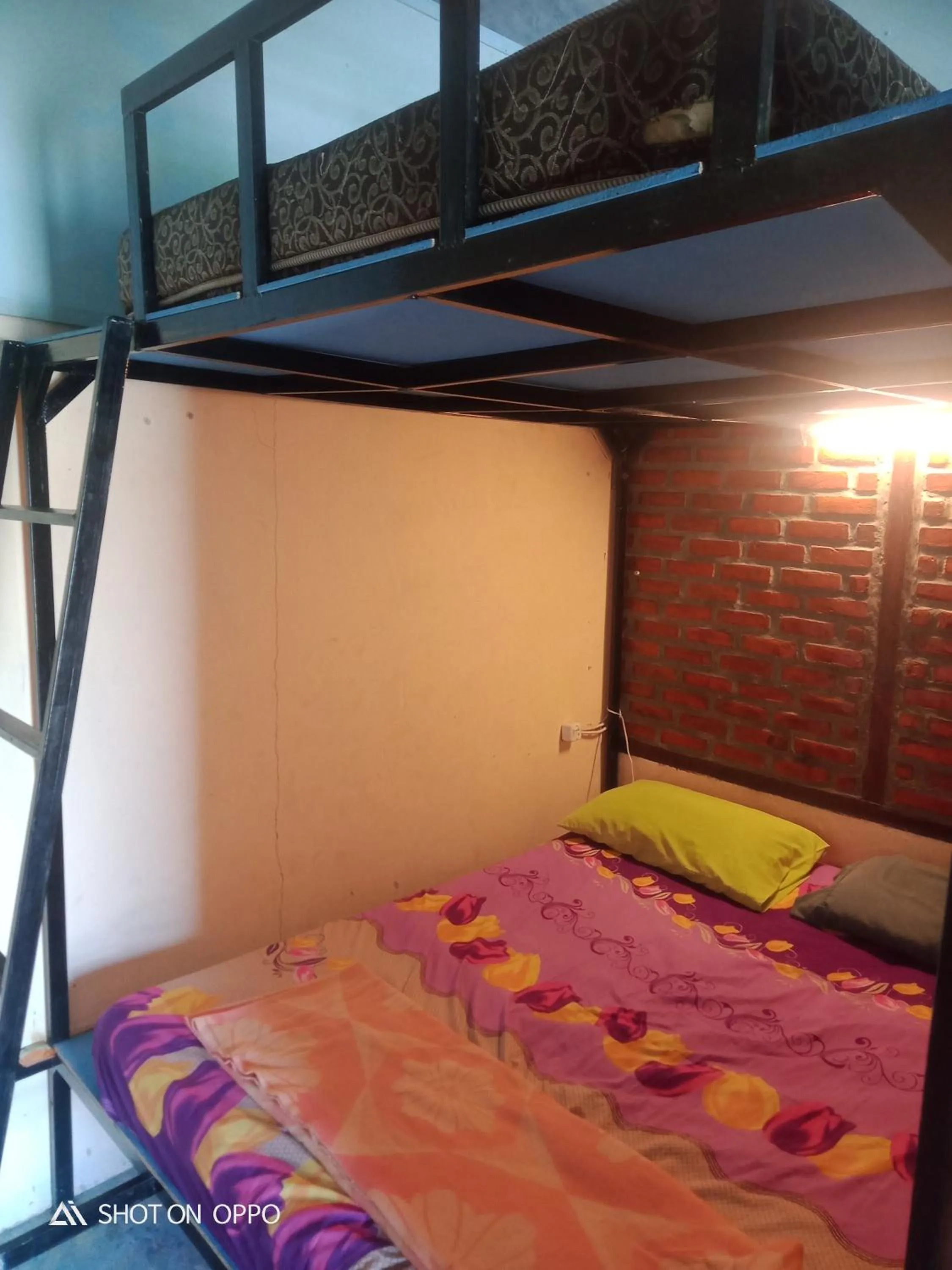 bunk bed, Bed in Salty Dog Hostel