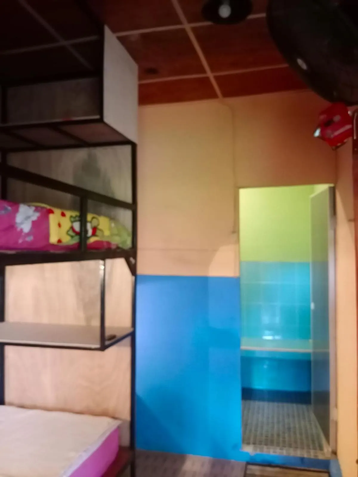 Bed in Salty Dog Hostel