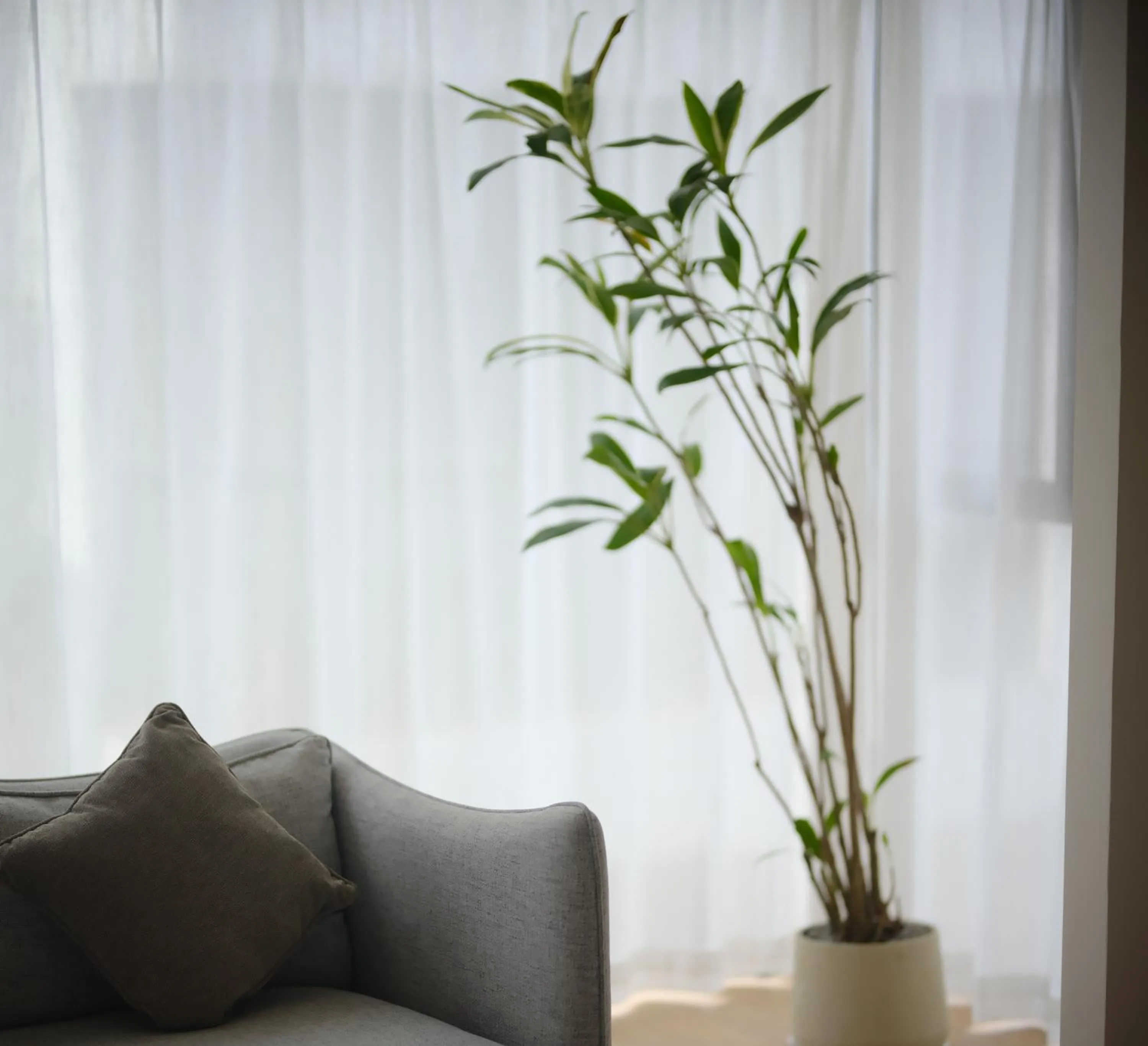 Seating area in Guilin Bonjour Boutique Hotel- Free pick up service over 3 nights